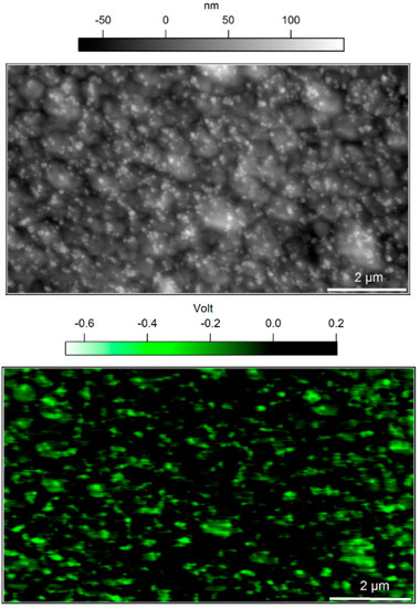 Polymers 11 00235 g0a2 550