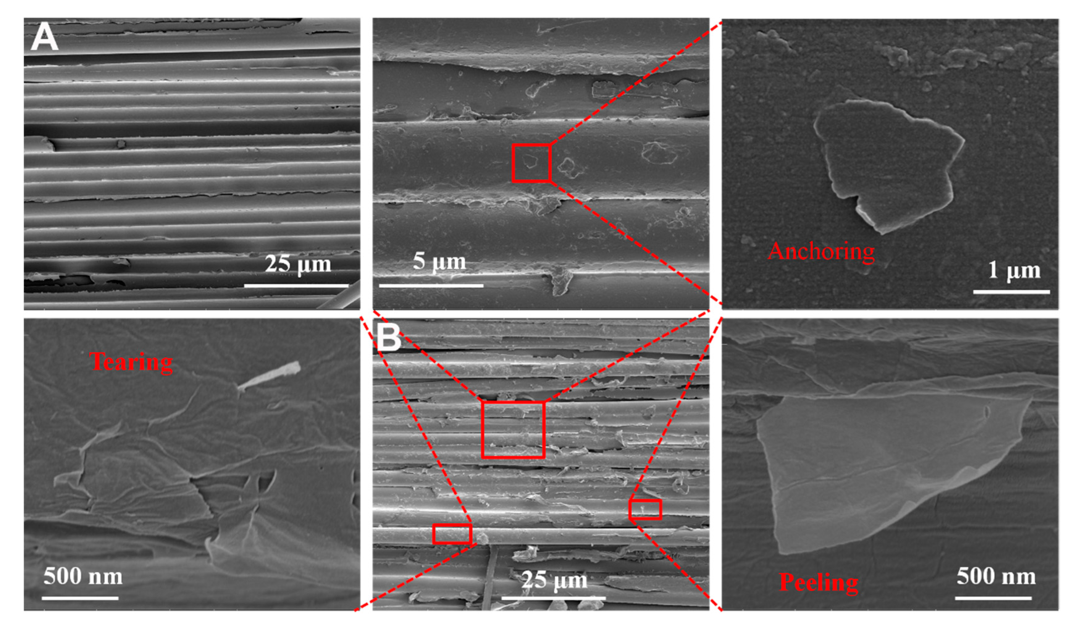 Polymers 11 00237 g009