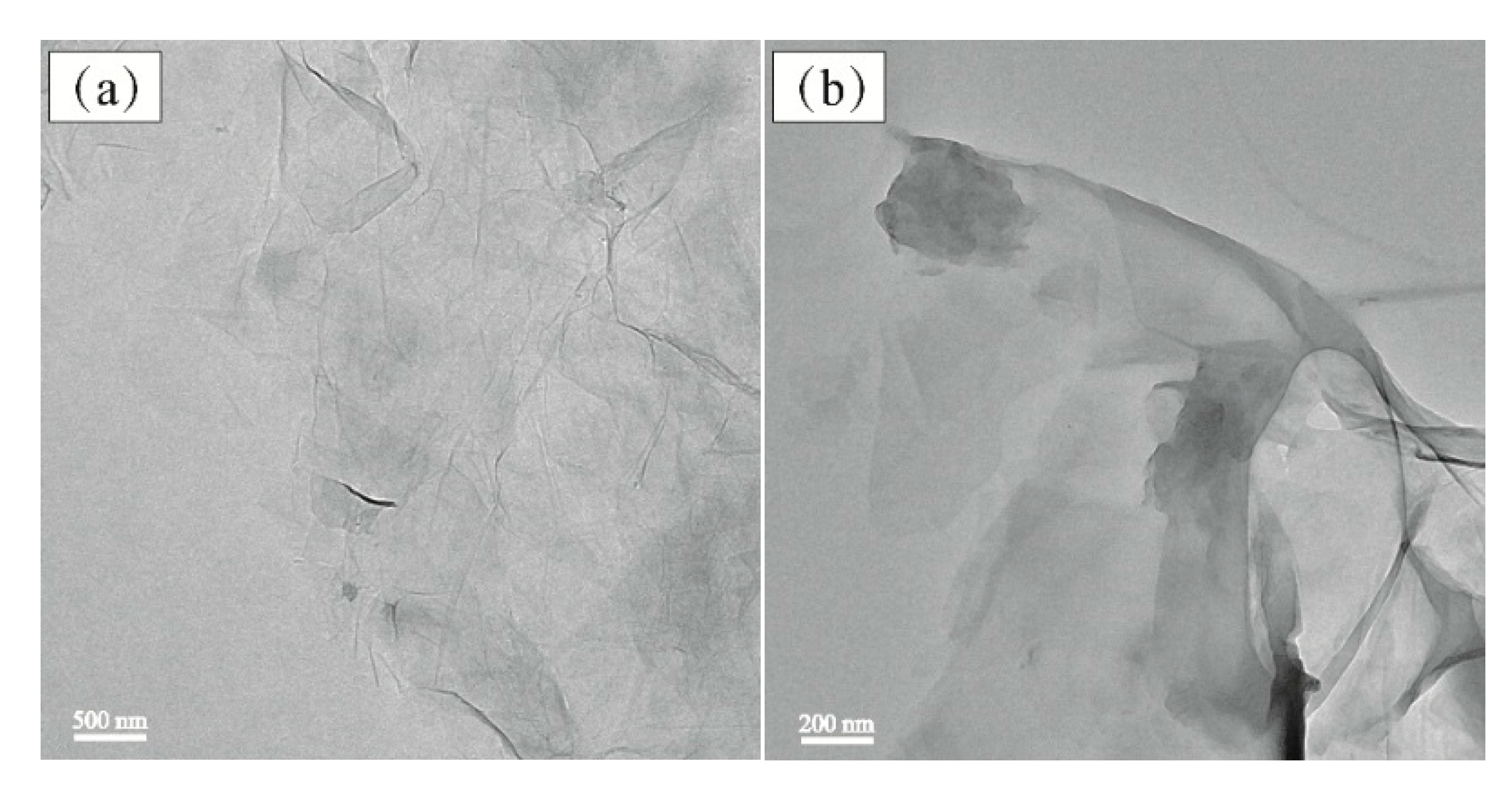 Polymers 11 00241 g005 Polymers 11 00241 g005