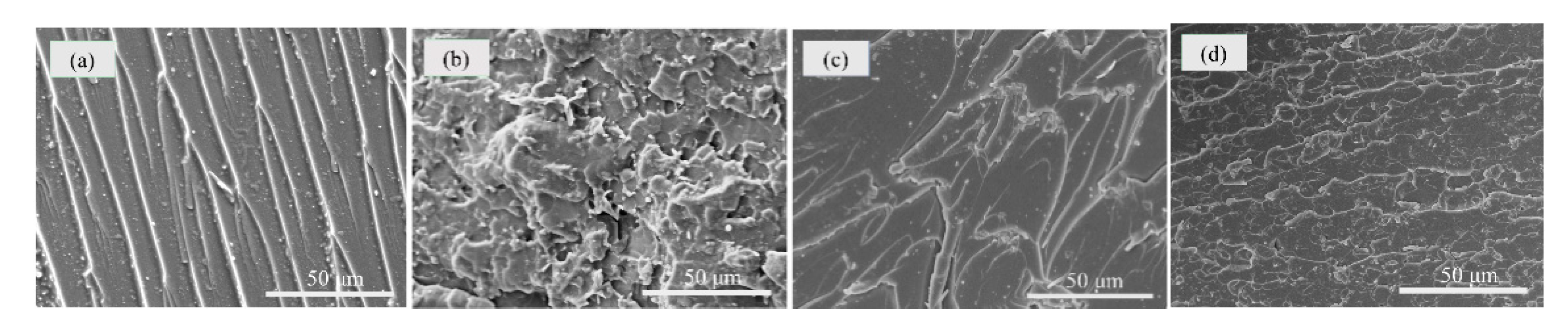 Polymers 11 00241 g009 Polymers 11 00241 g009