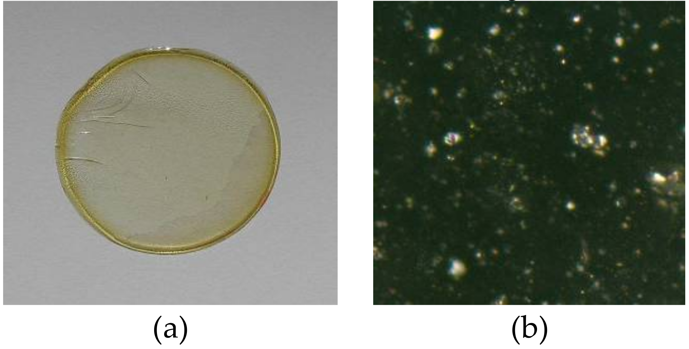 Polymers 11 00242 g002