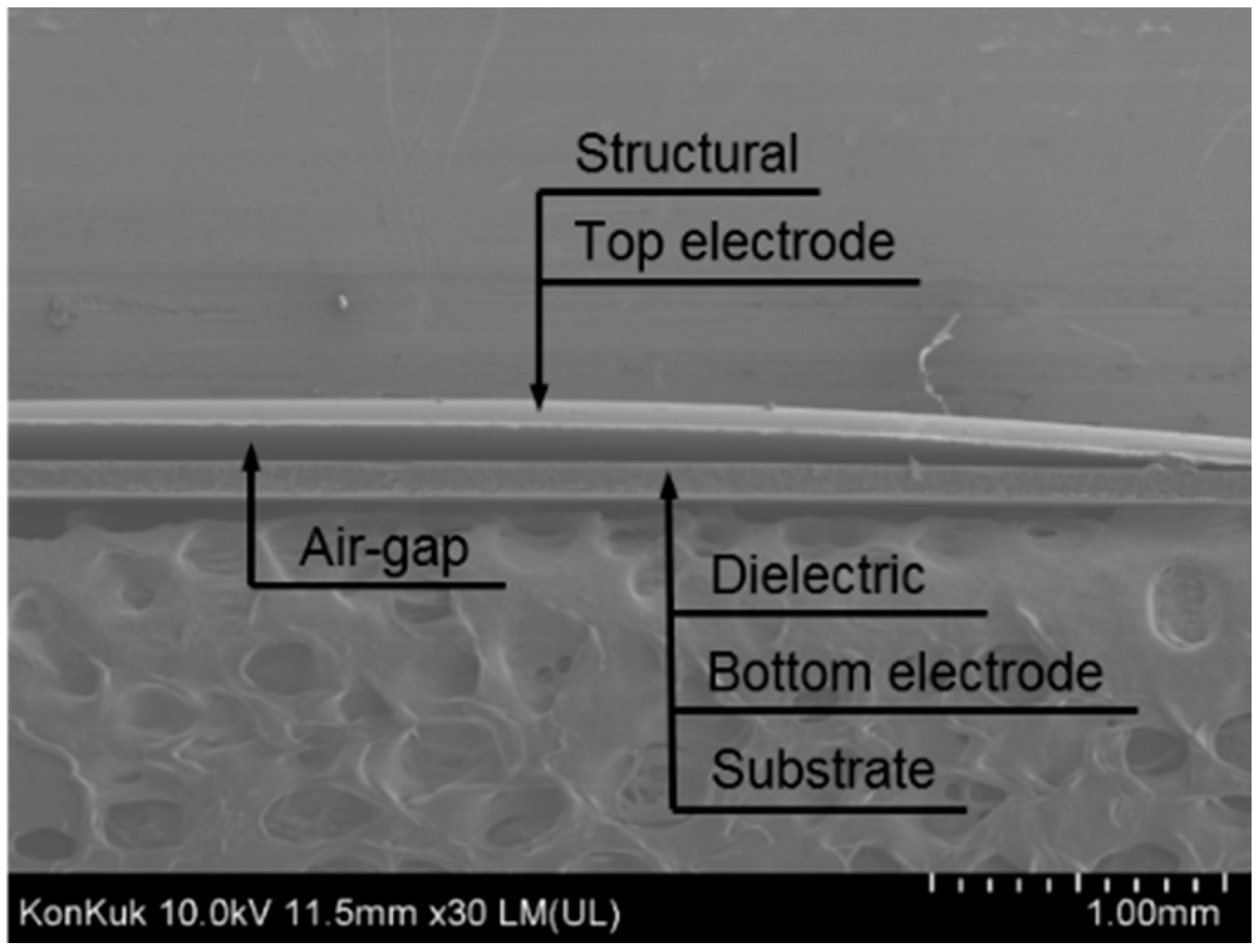 Polymers 11 00245 g007 Polymers 11 00245 g007