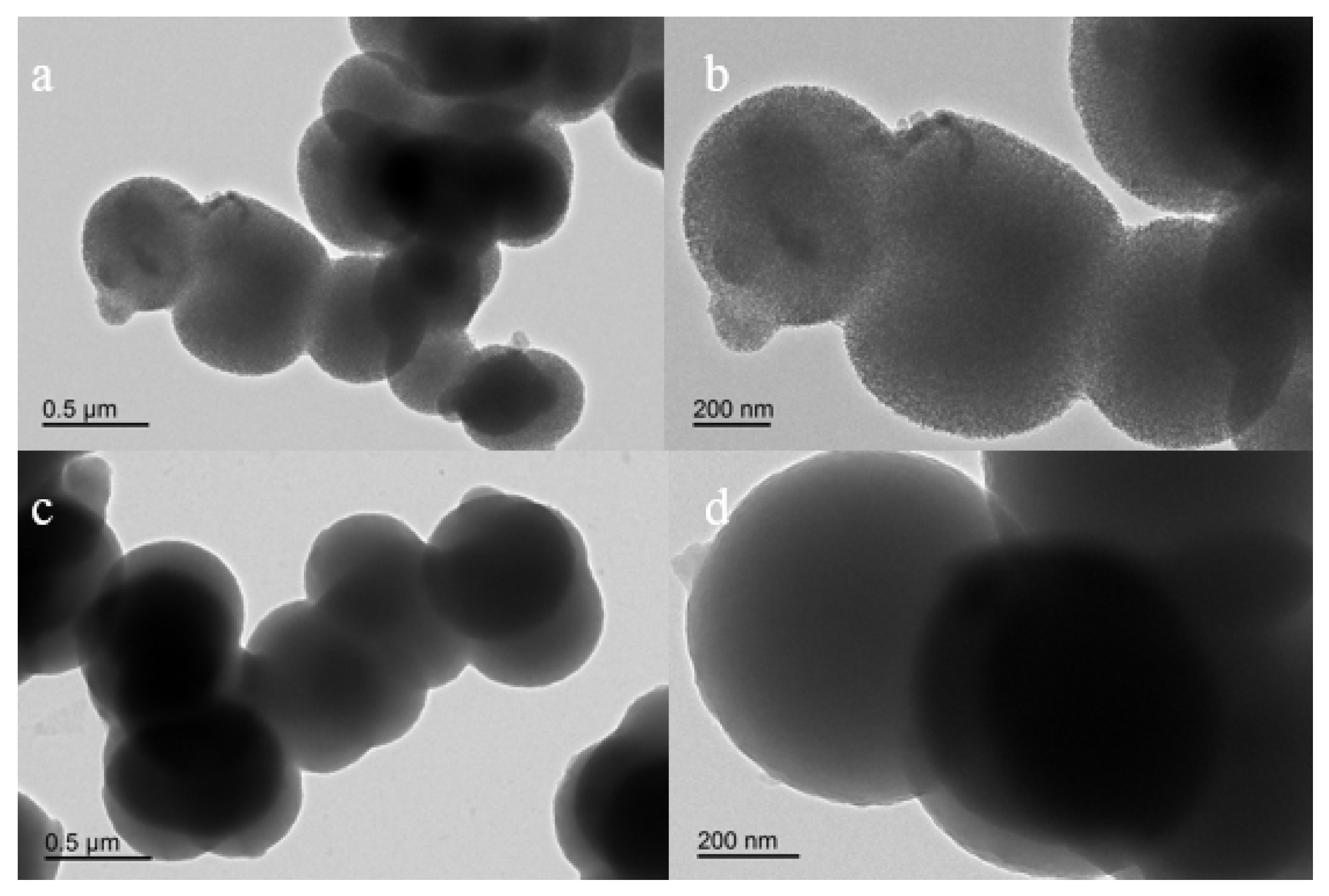 Polymers 11 00253 g005