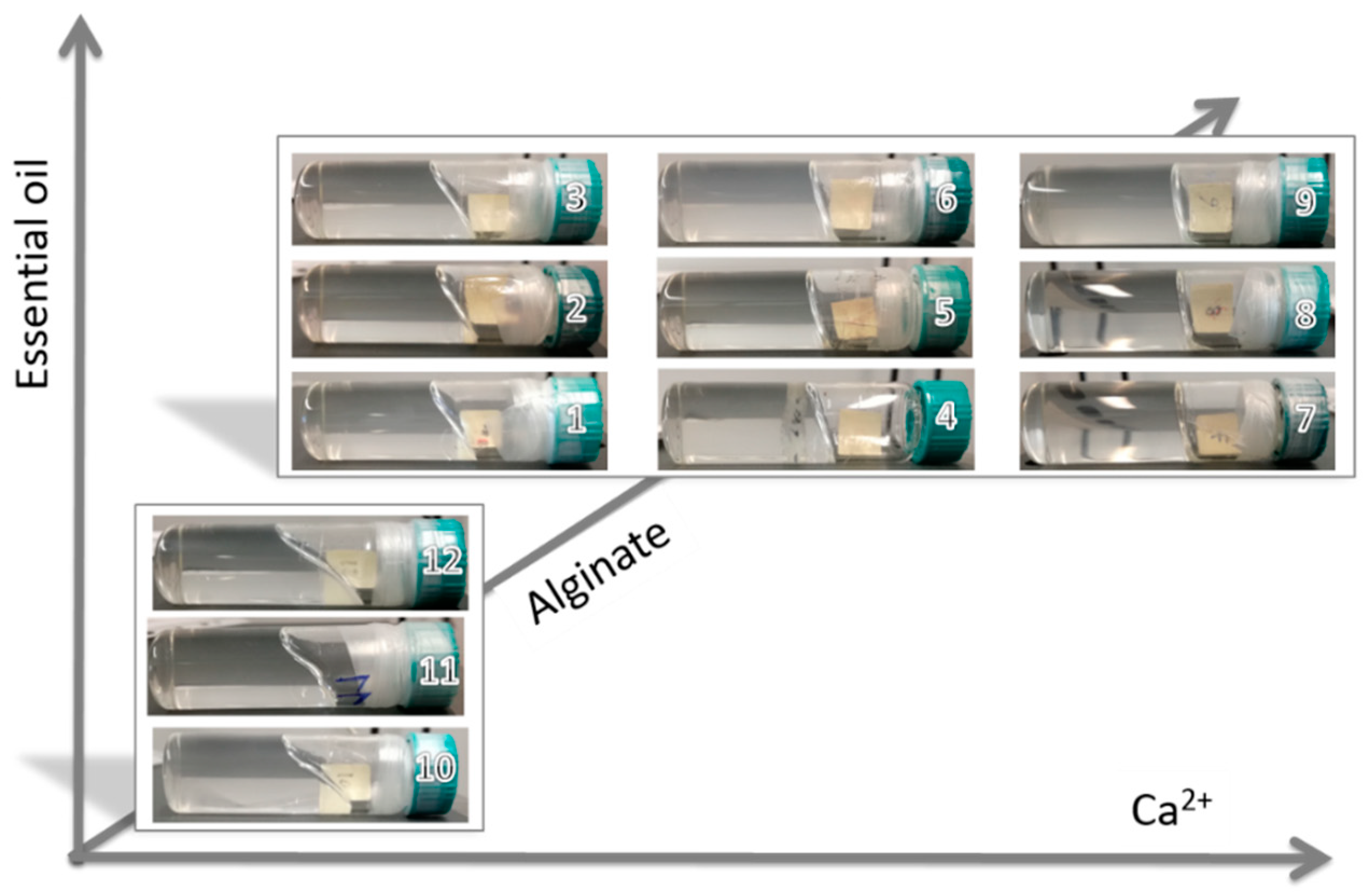 Polymers 11 00259 g001 Polymers 11 00259 g001