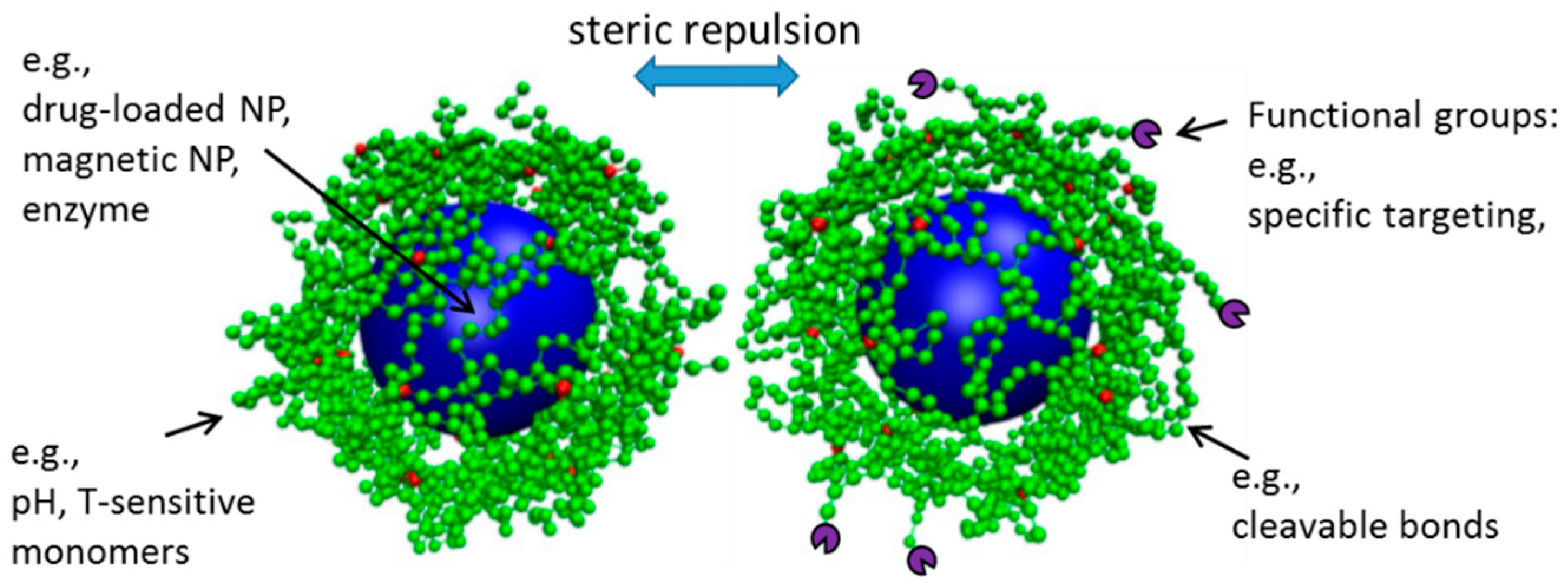 Polymers 11 00275 g001
