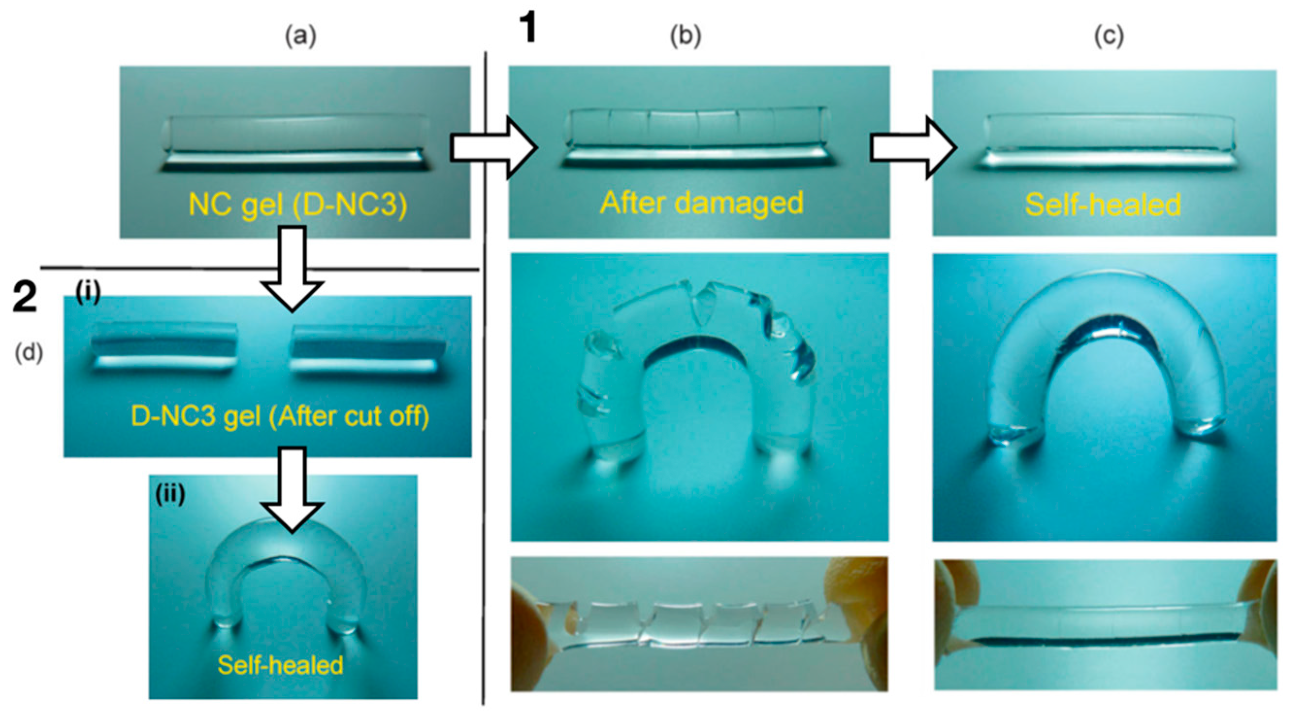 Polymers 11 00275 g007