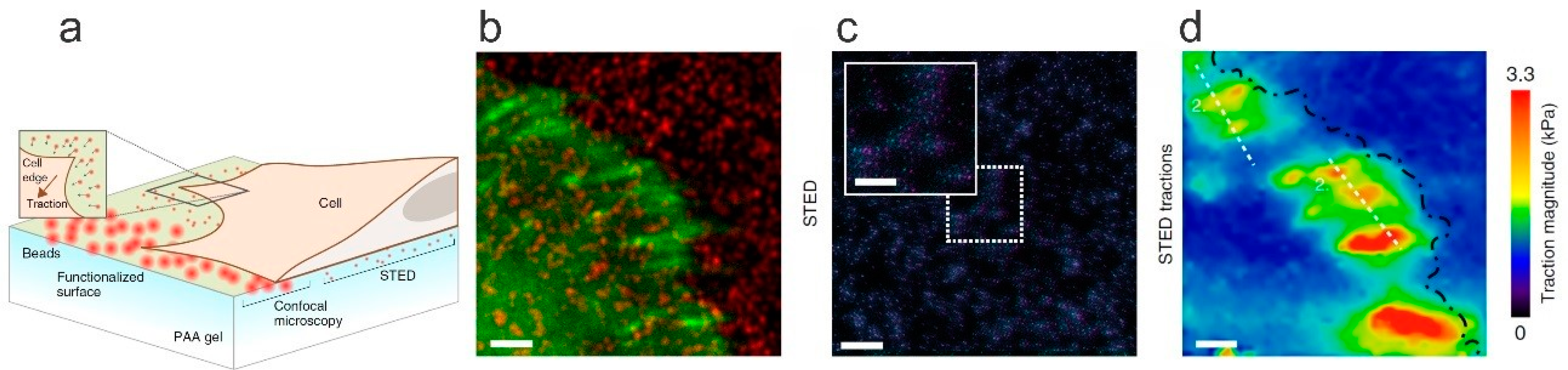 Polymers 11 00275 g010
