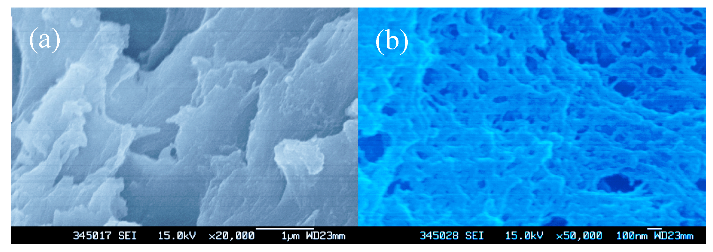 Polymers 11 00276 g003 Polymers 11 00276 g003