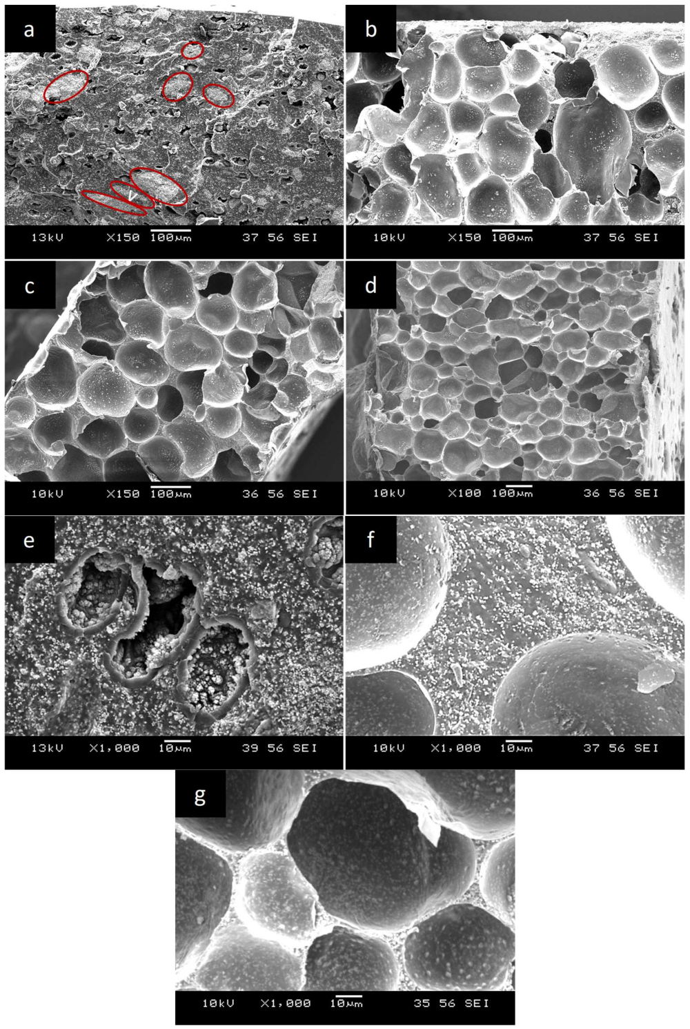 Polymers 11 00280 g003 Polymers 11 00280 g003