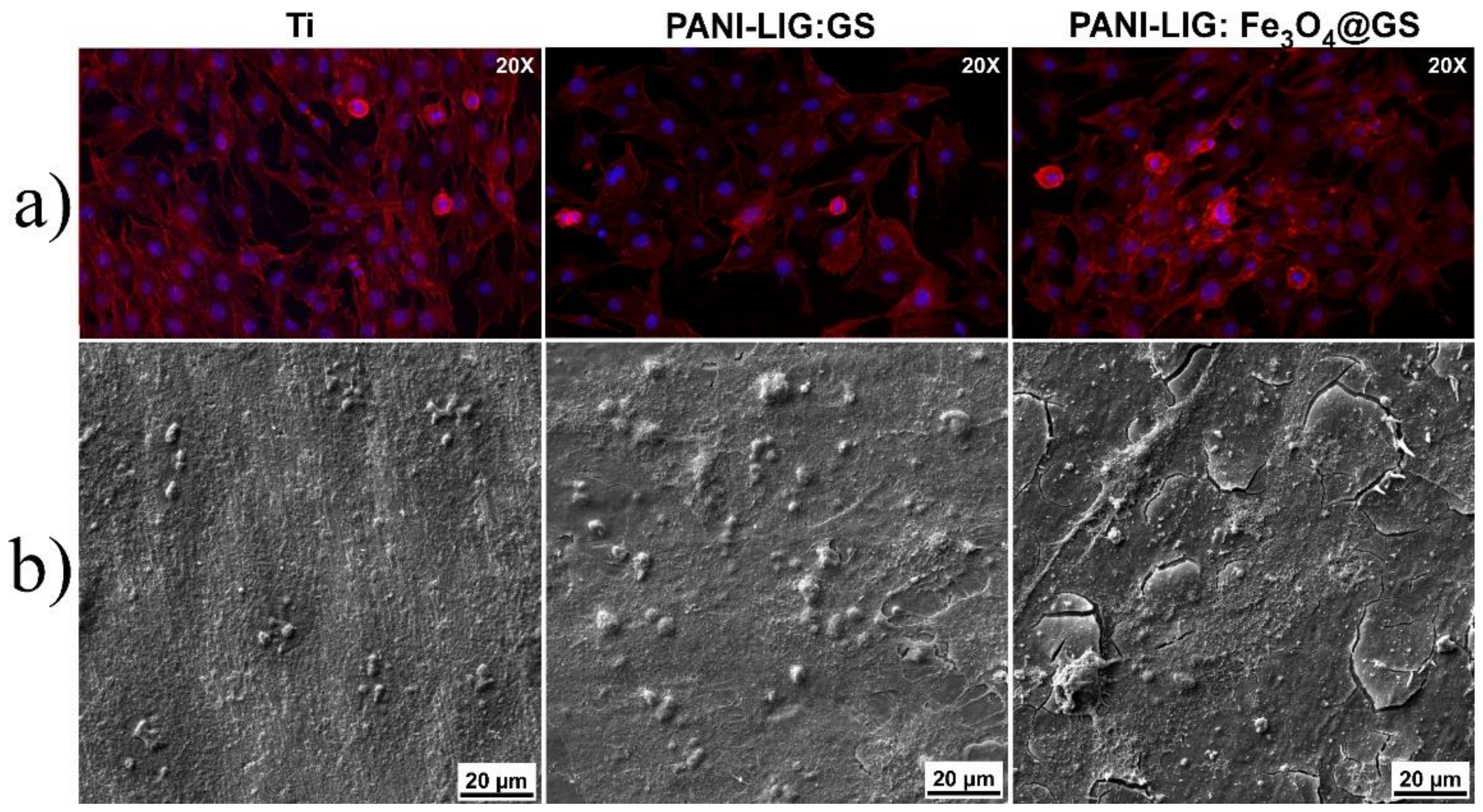 Polymers 11 00283 g008