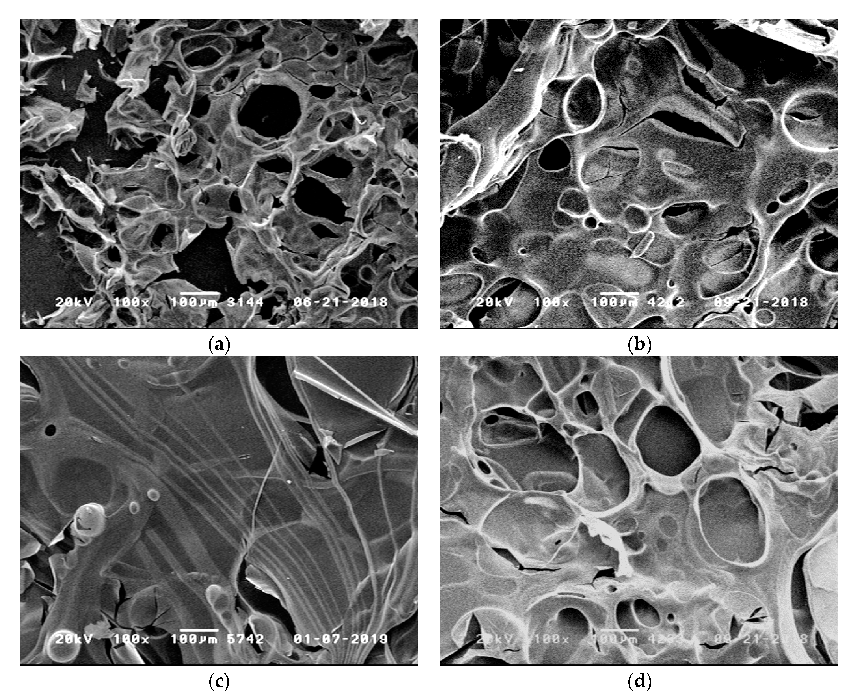 Polymers 11 00284 g008