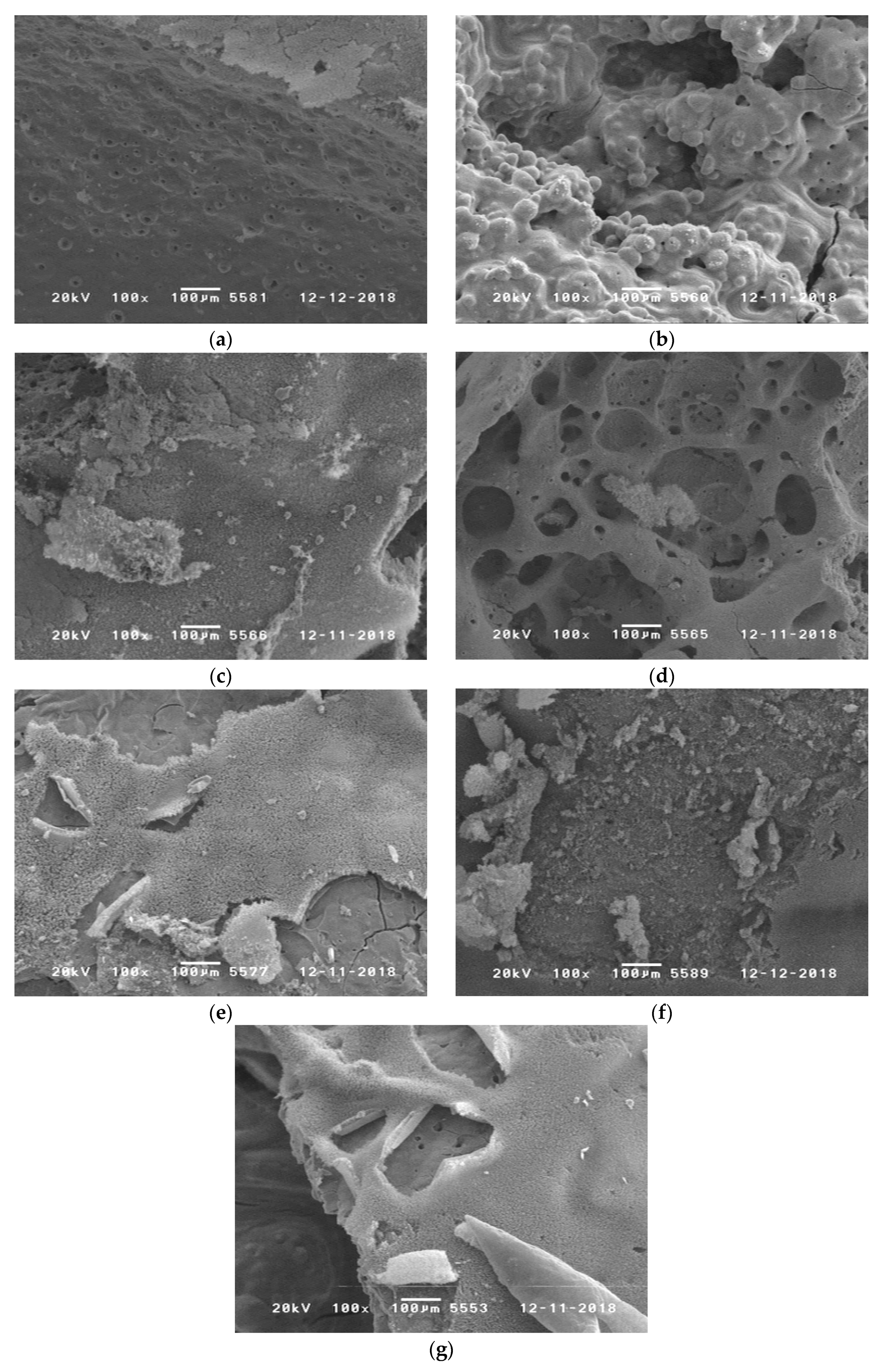 Polymers 11 00284 g018