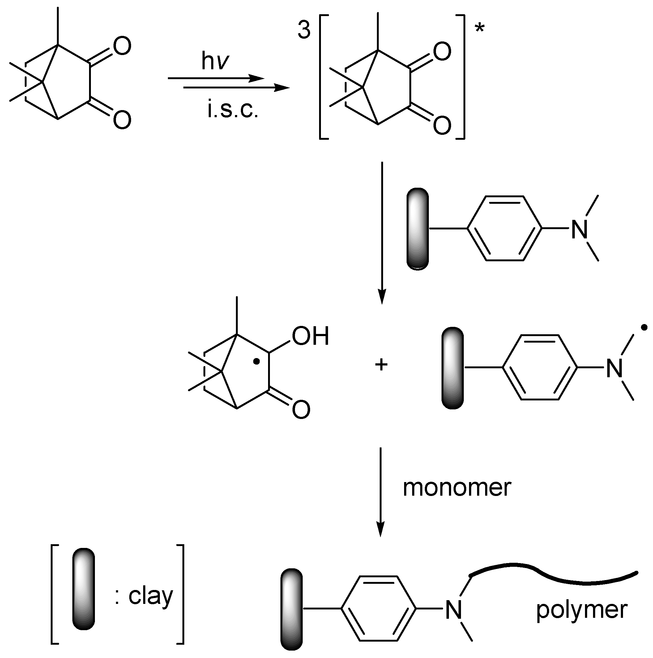 Polymers 11 00286 sch002 Polymers 11 00286 sch002