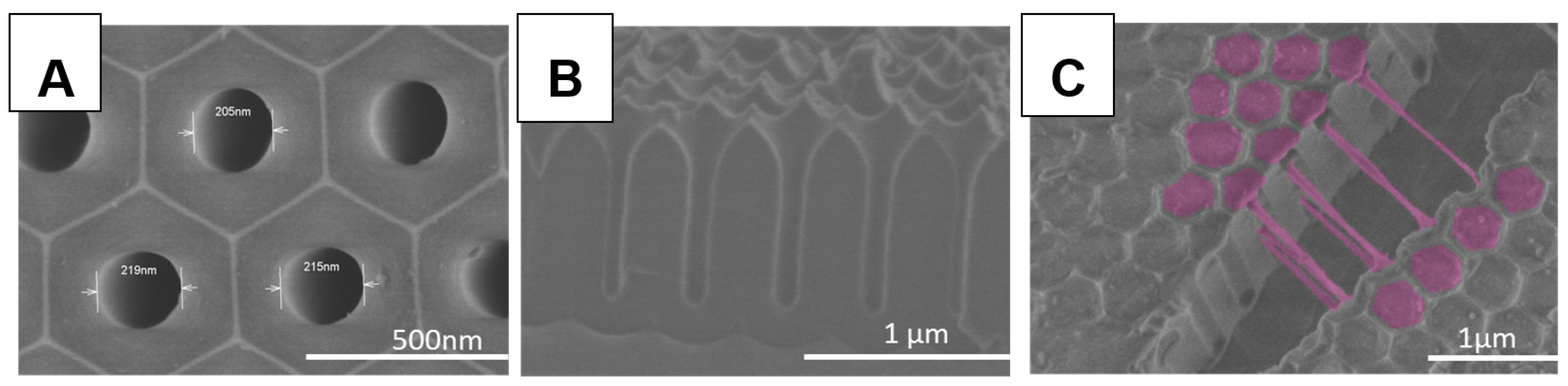 Polymers 11 00290 g001 Polymers 11 00290 g001