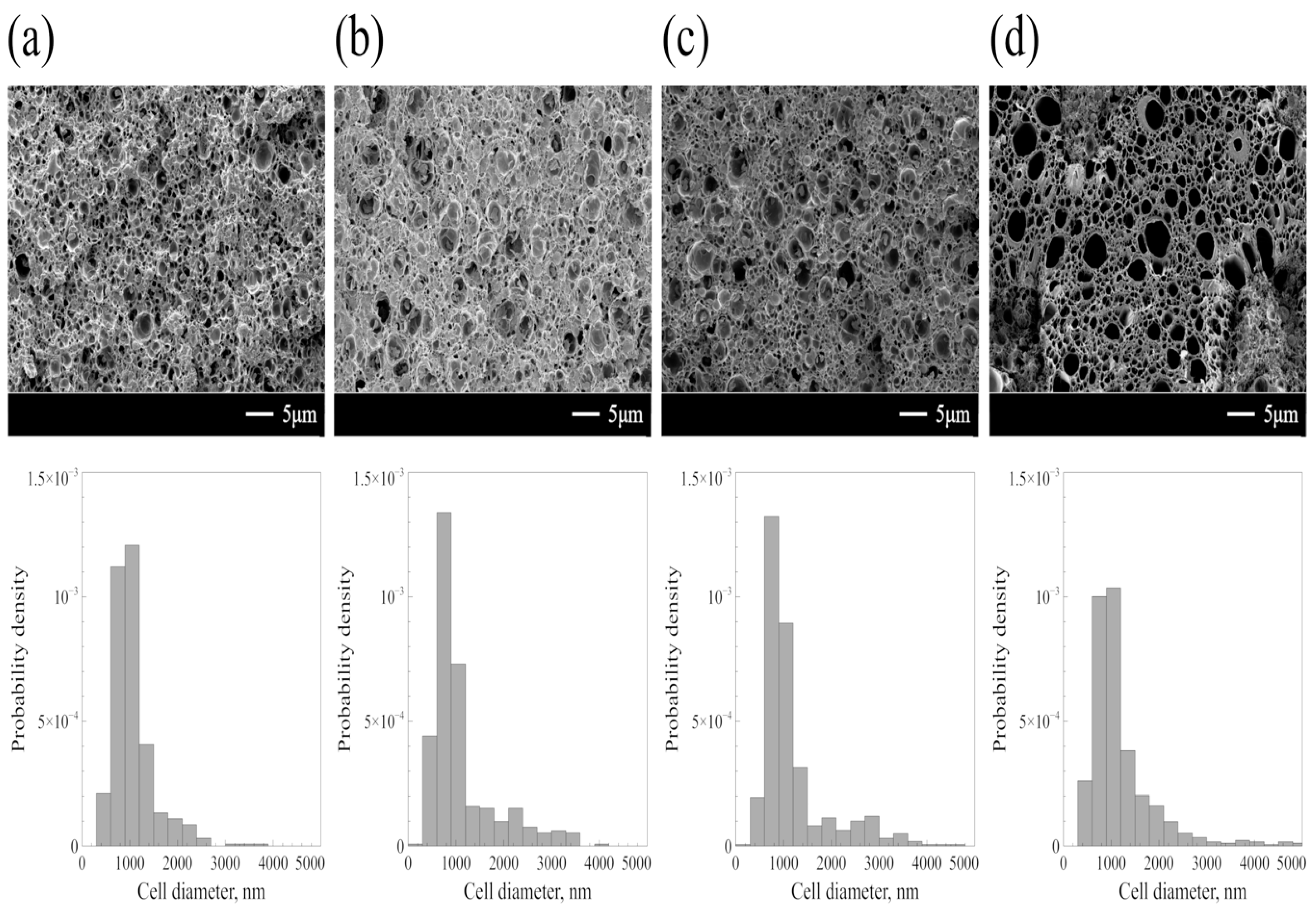 Polymers 11 00291 g004