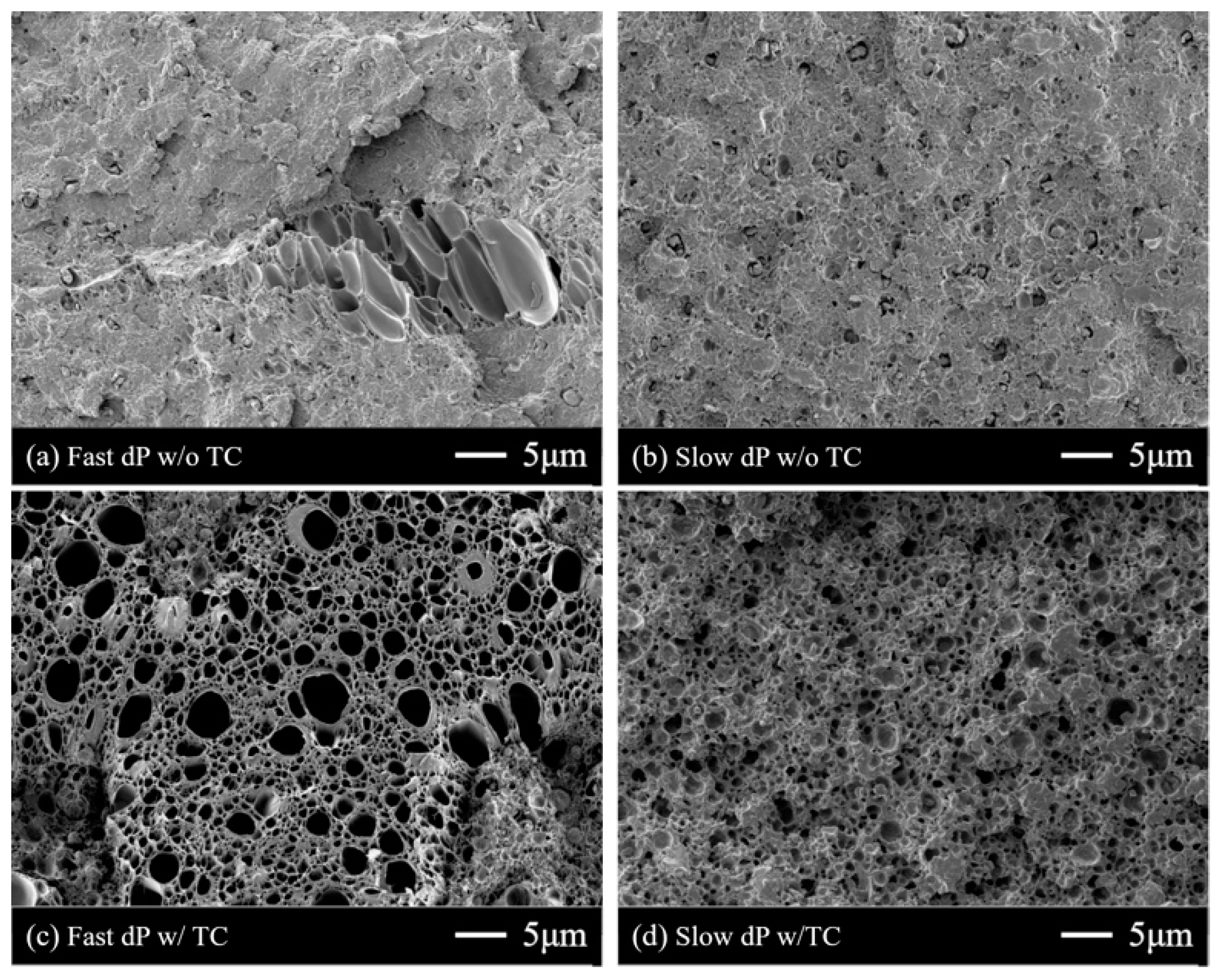 Polymers 11 00291 g005