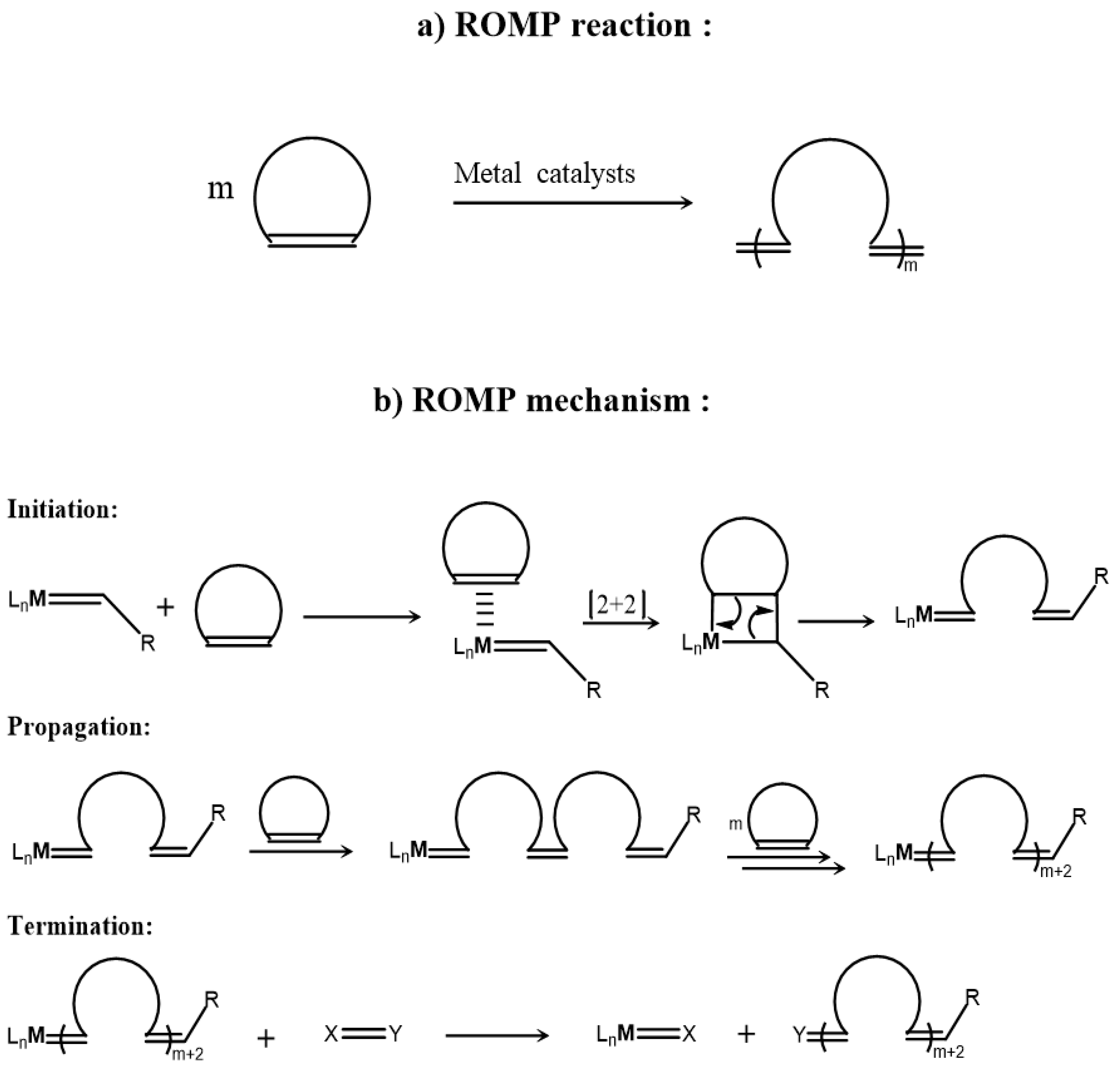 Polymers 11 00298 g001