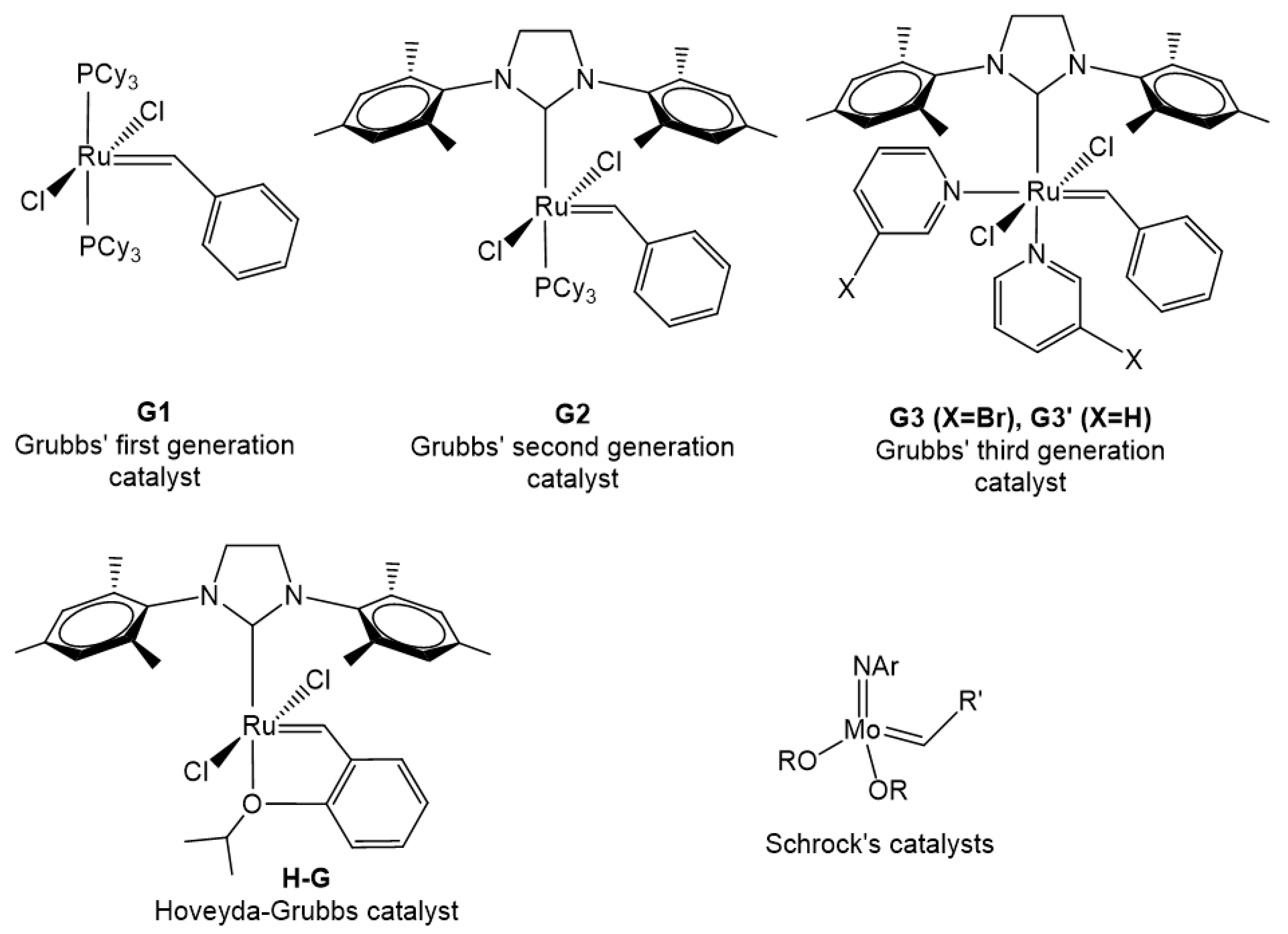 Polymers 11 00298 g002