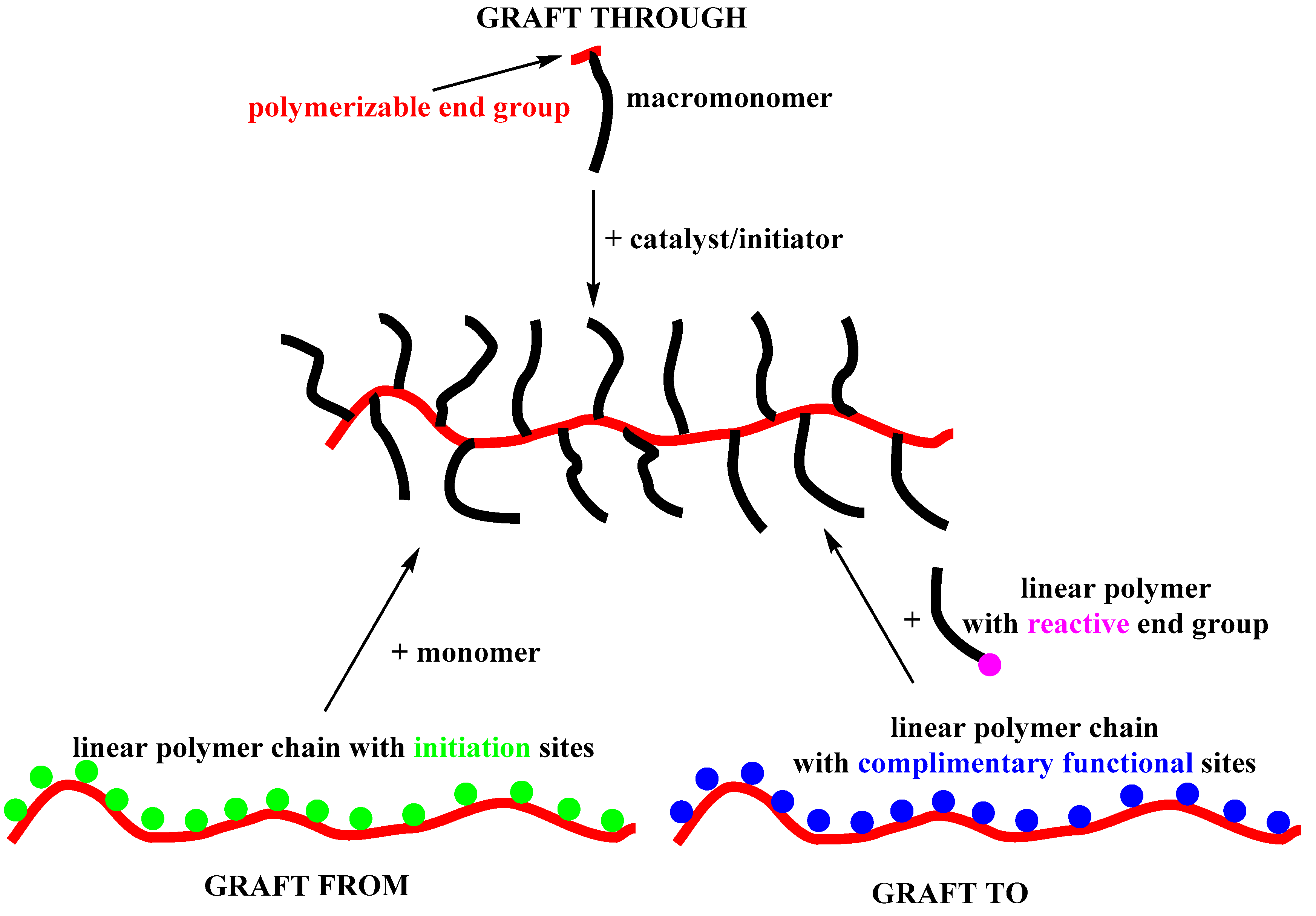 Polymers 11 00298 g006