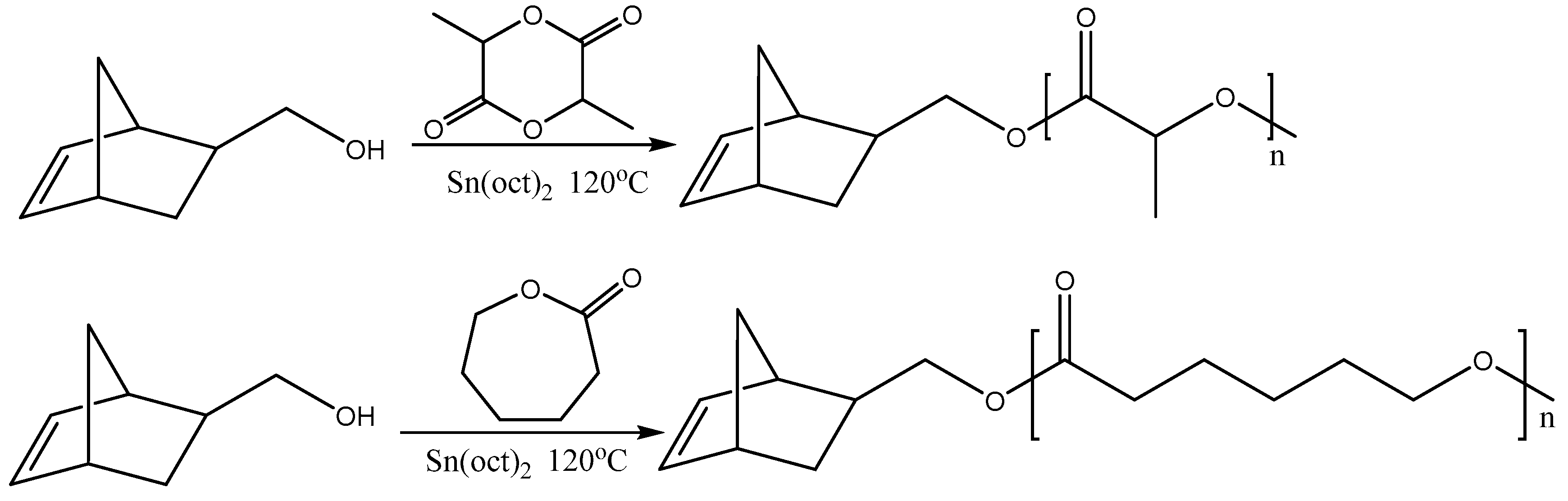 Polymers 11 00298 g010