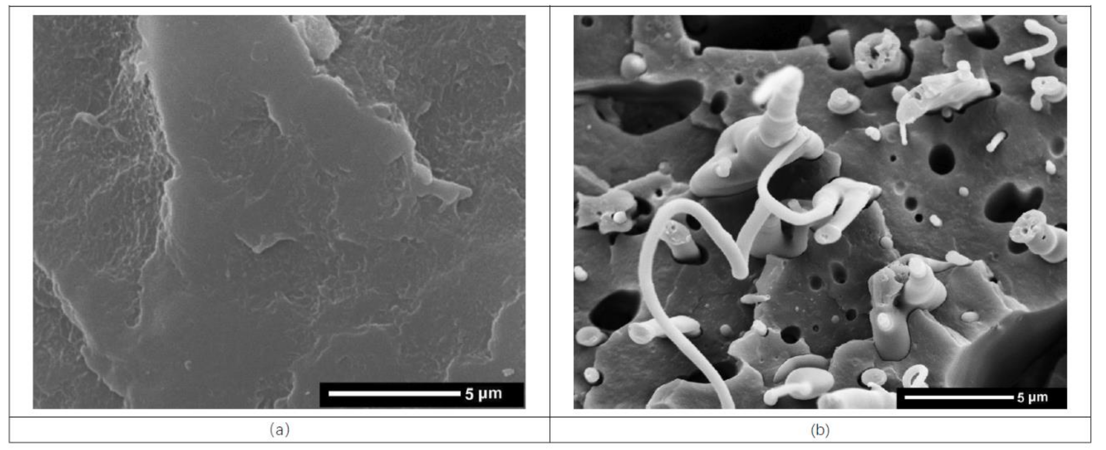 Polymers 11 00300 g007a