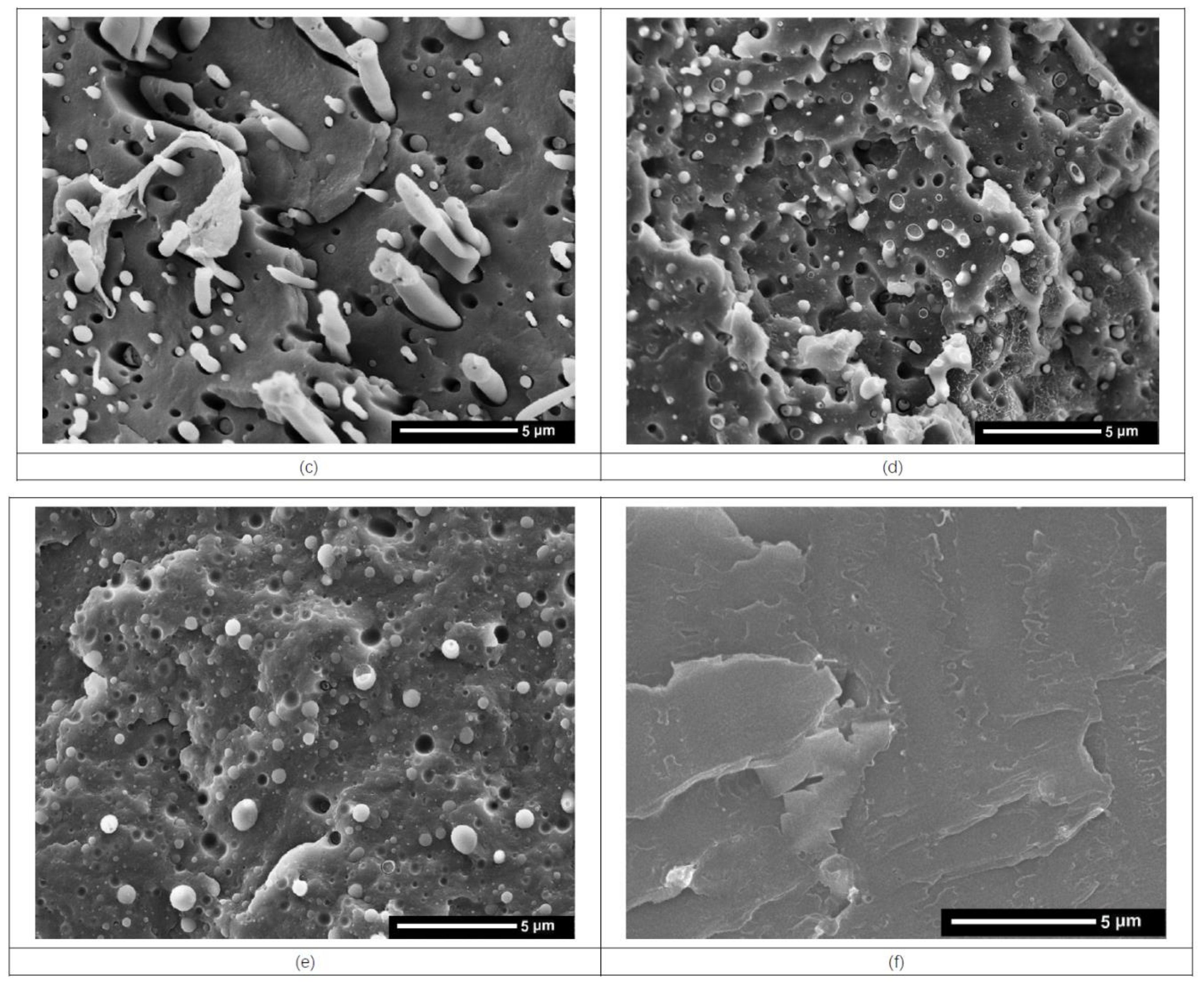 Polymers 11 00300 g007b