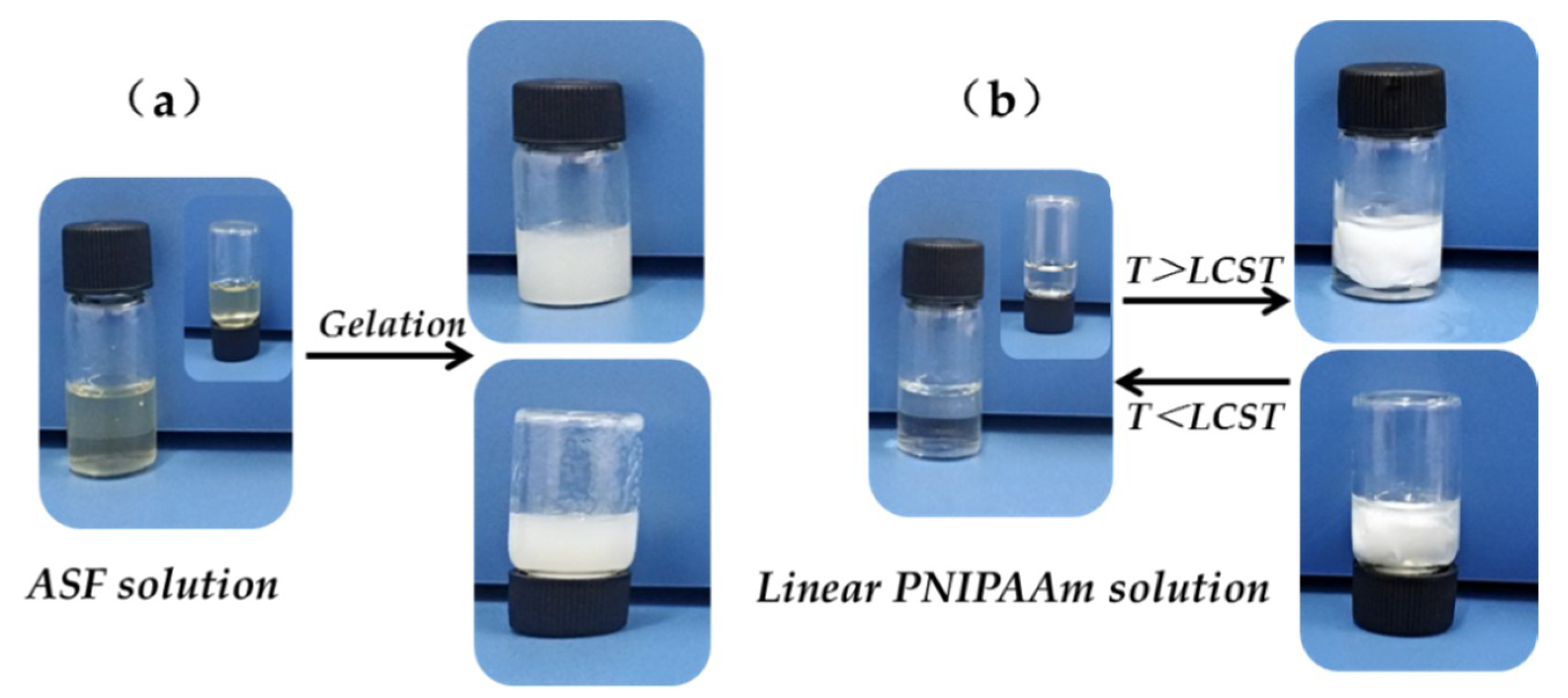 Polymers 11 00302 g002