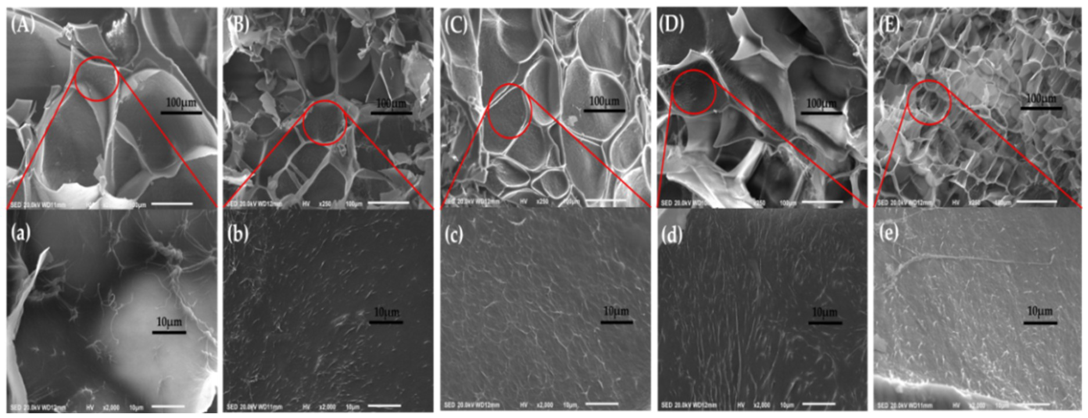 Polymers 11 00302 g011
