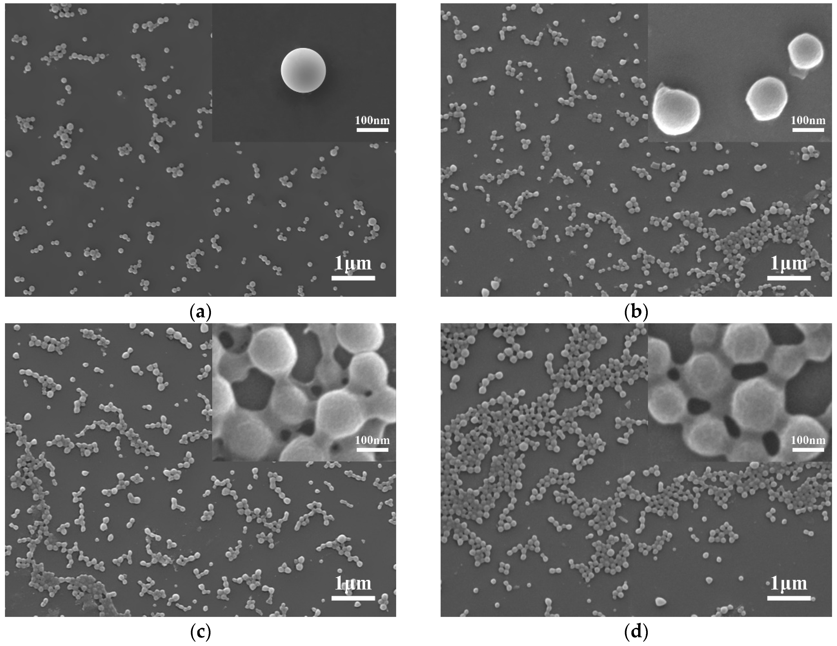 Polymers 11 00304 g002 Polymers 11 00304 g002