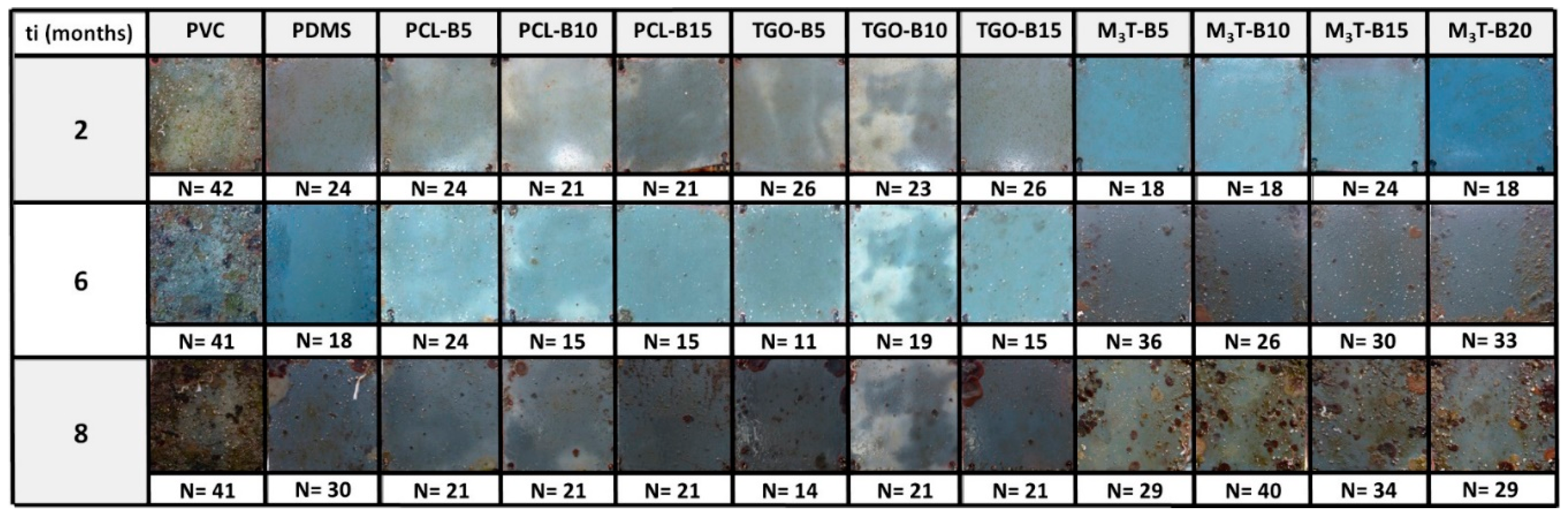 Polymers 11 00305 g005 Polymers 11 00305 g005