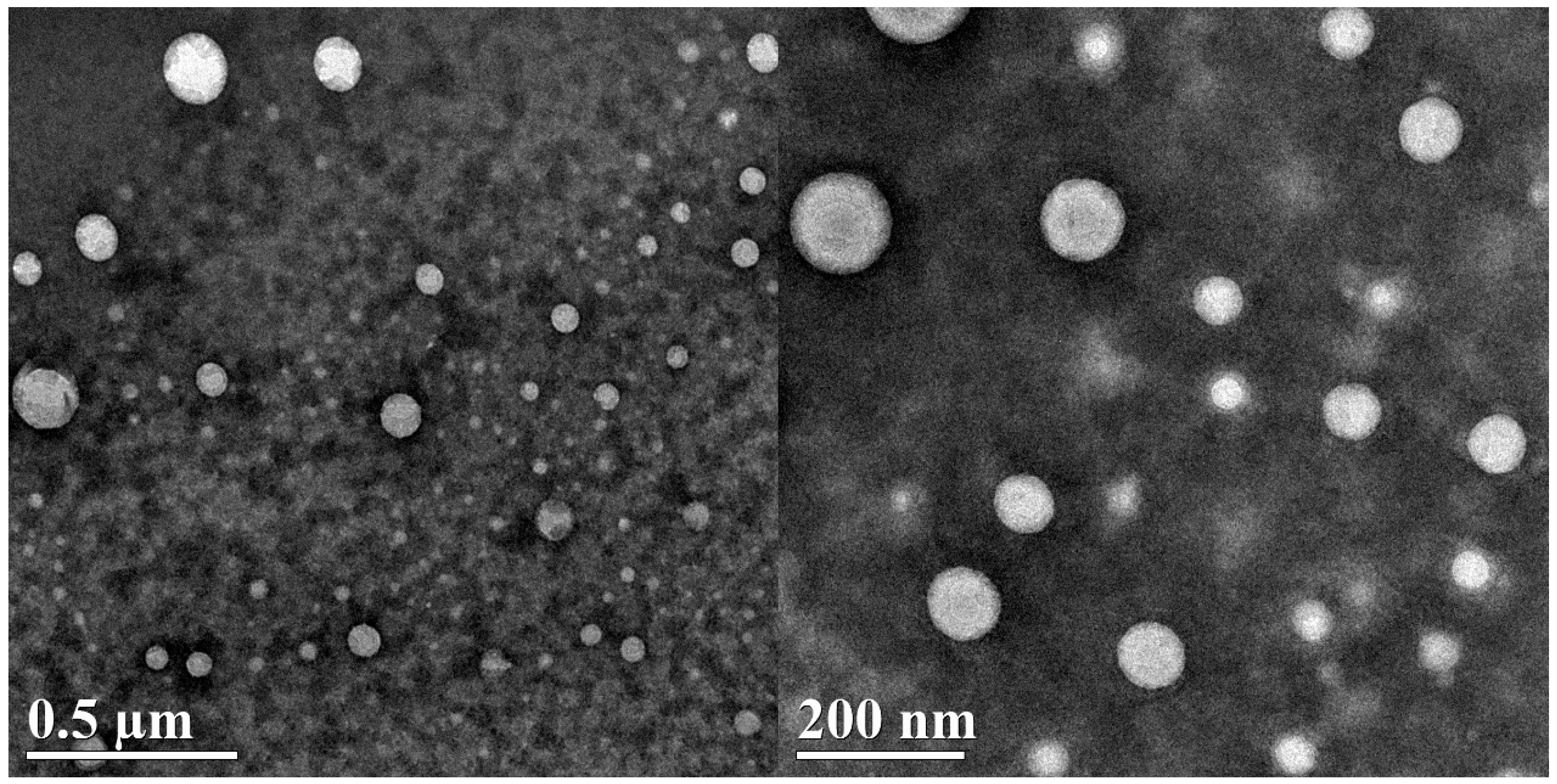 Polymers 11 00322 g003 Polymers 11 00322 g003