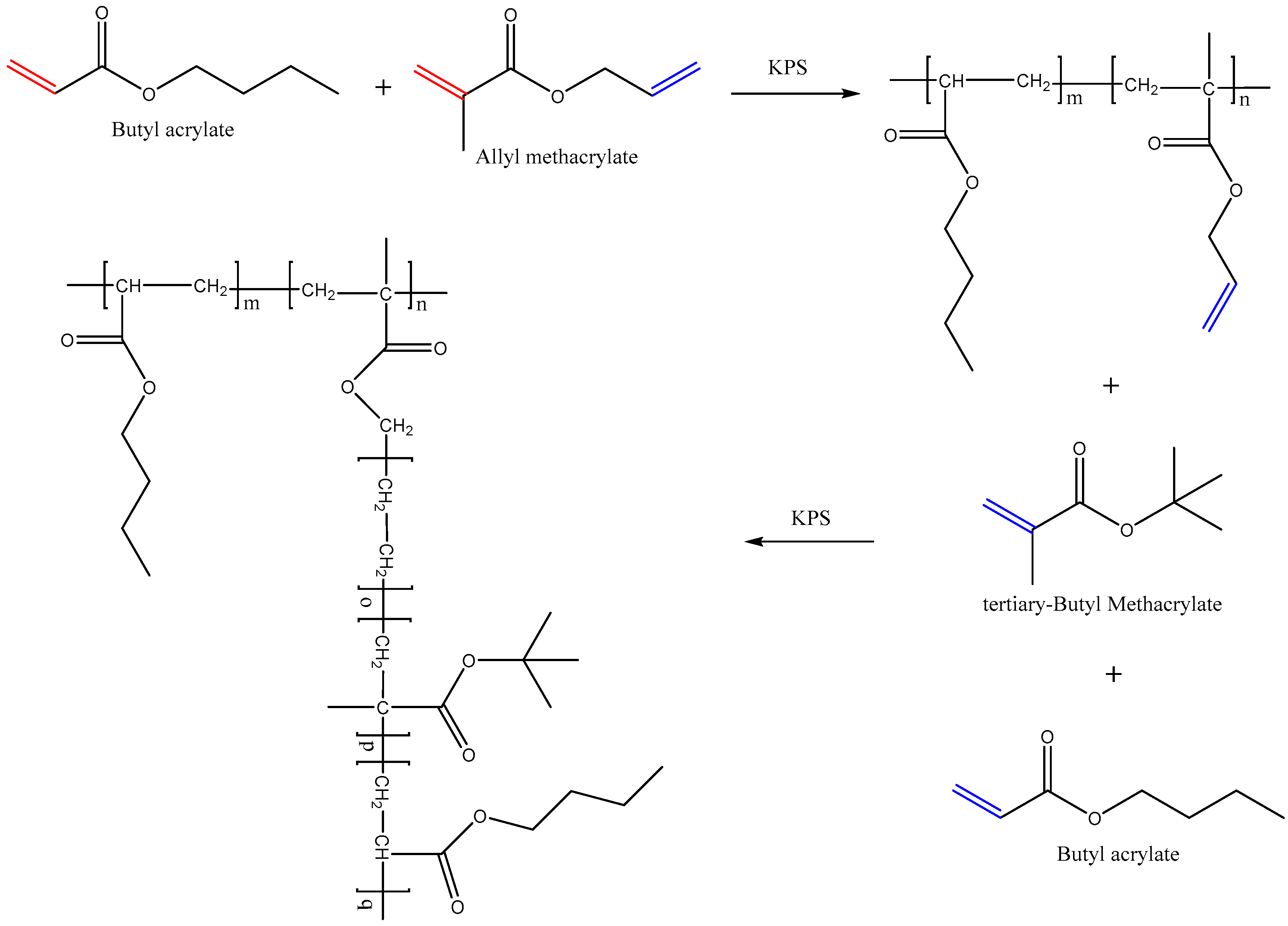 Polymers 11 00322 sch001 Polymers 11 00322 sch001