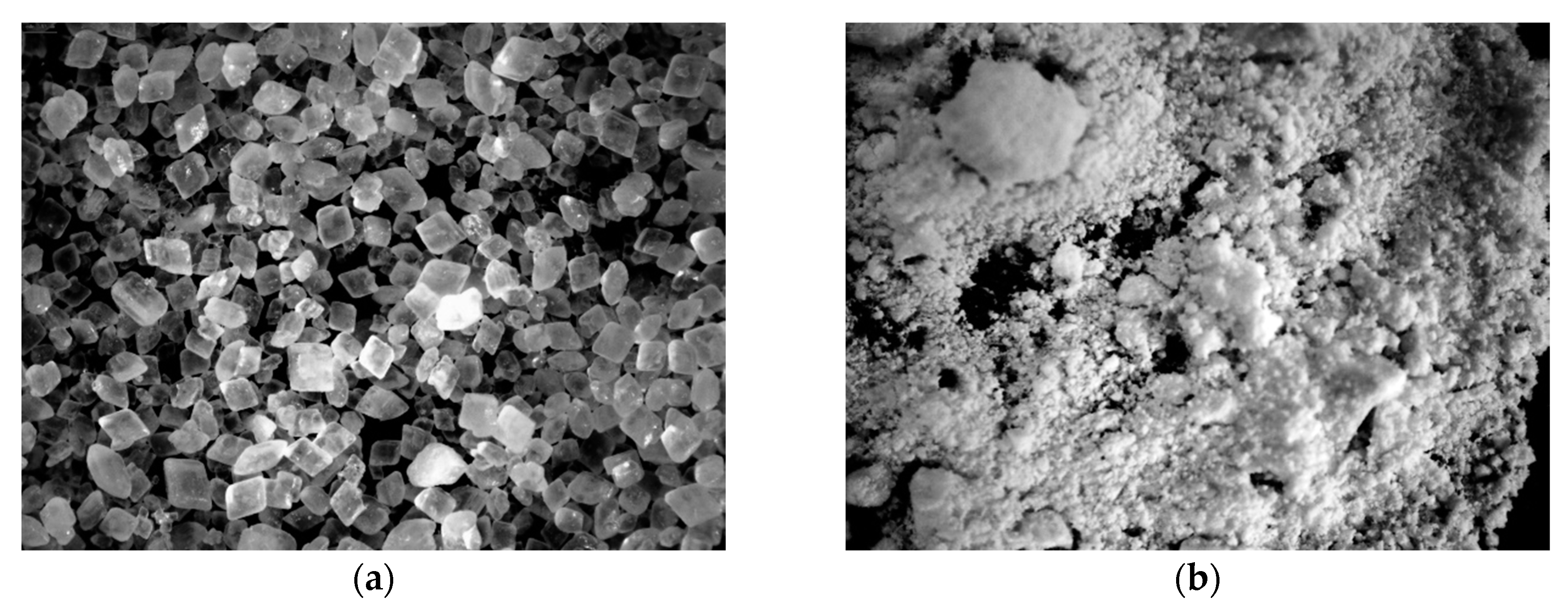 Polymers 11 00336 g002