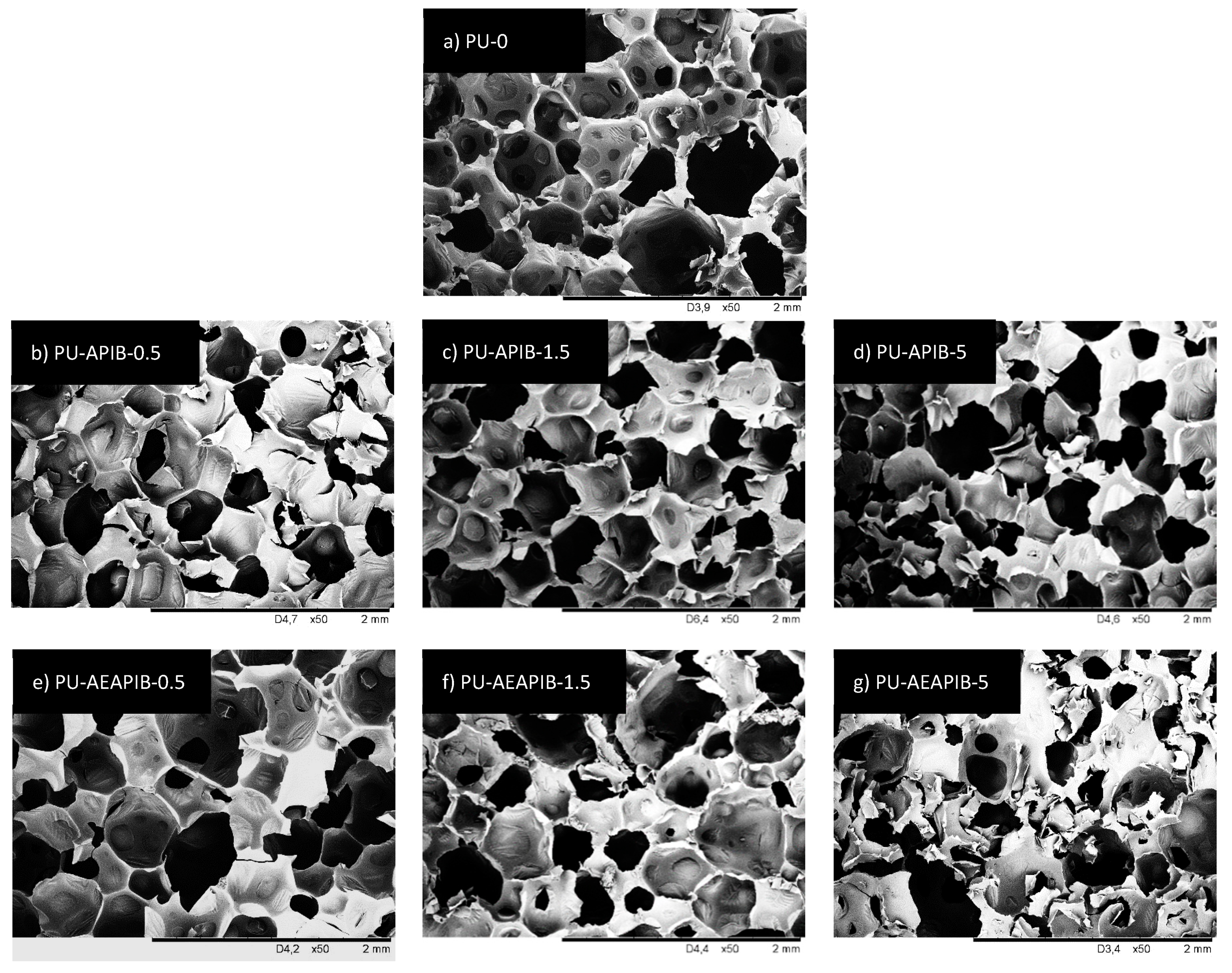 Polymers 11 00336 g005