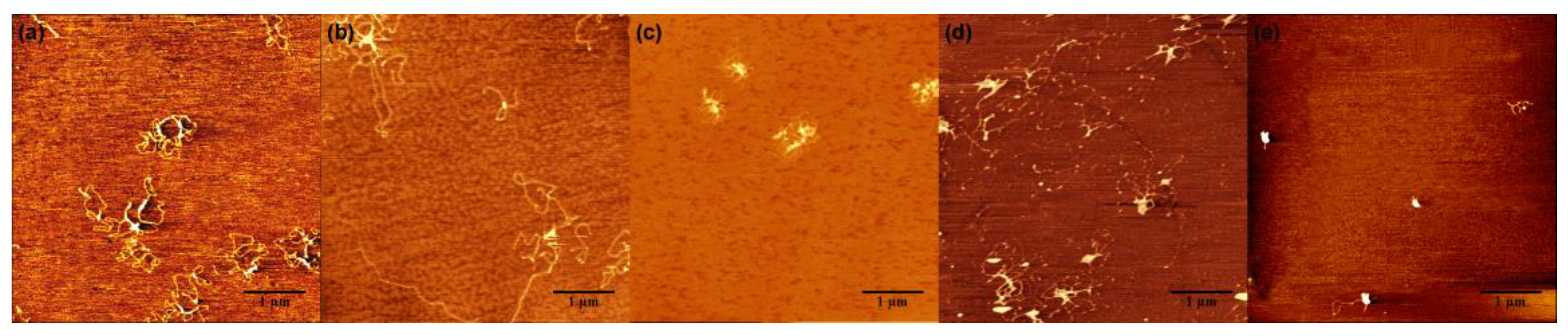 Polymers 11 00337 g003