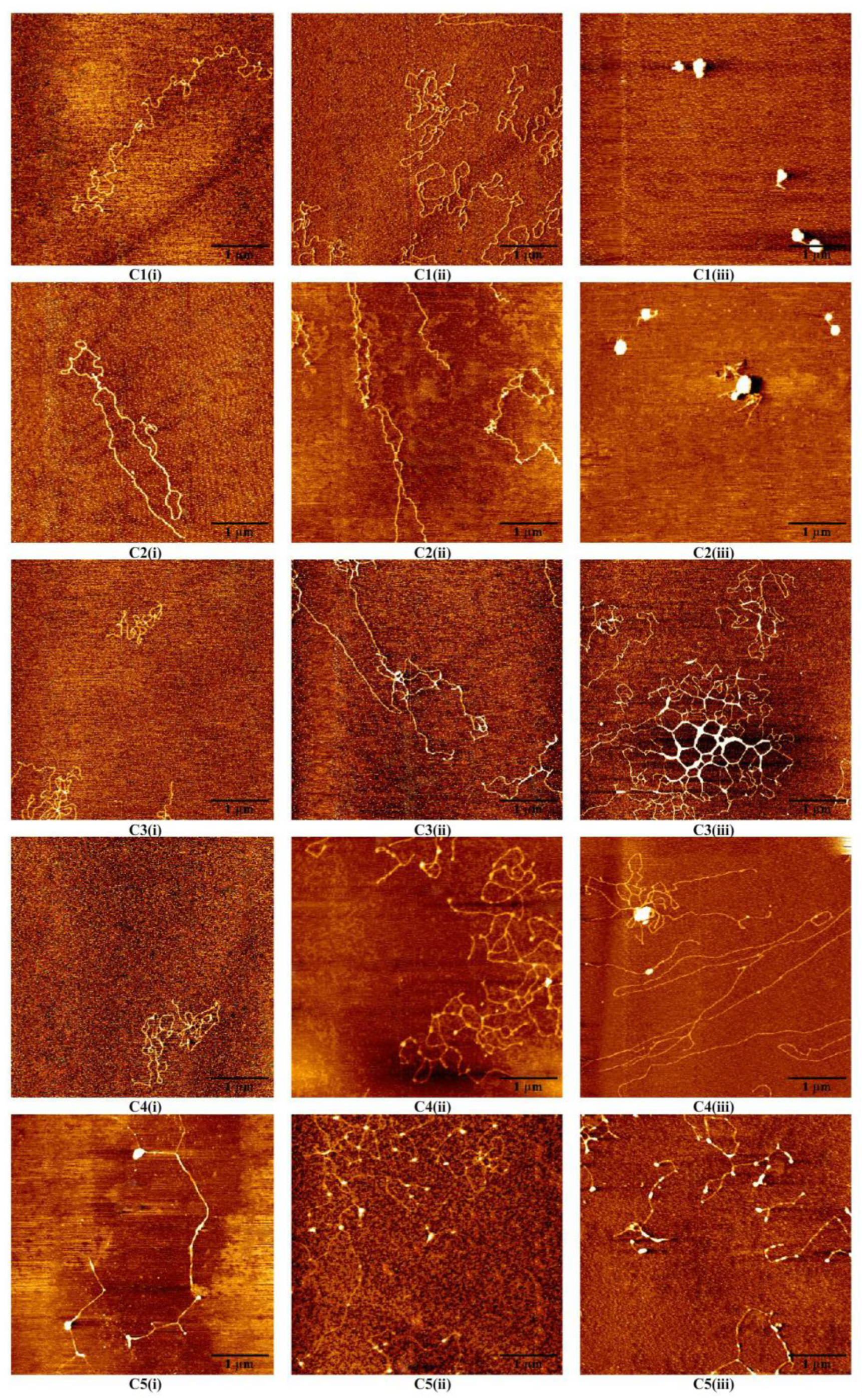 Polymers 11 00337 g004