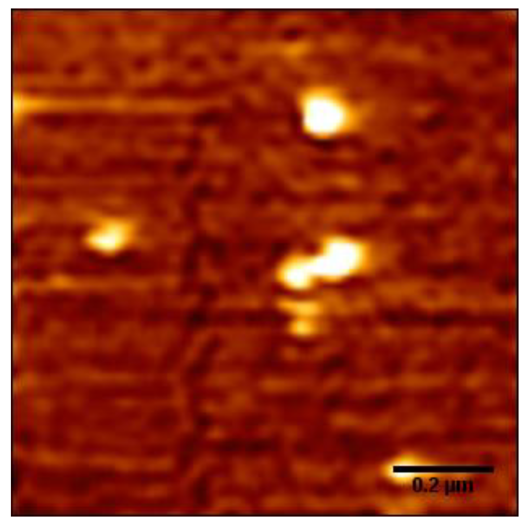 Polymers 11 00337 g005