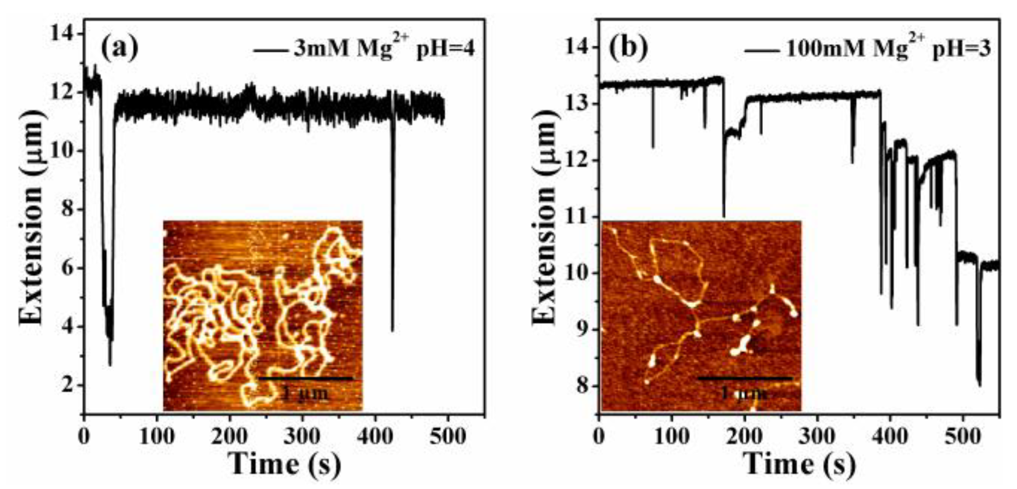 Polymers 11 00337 g007