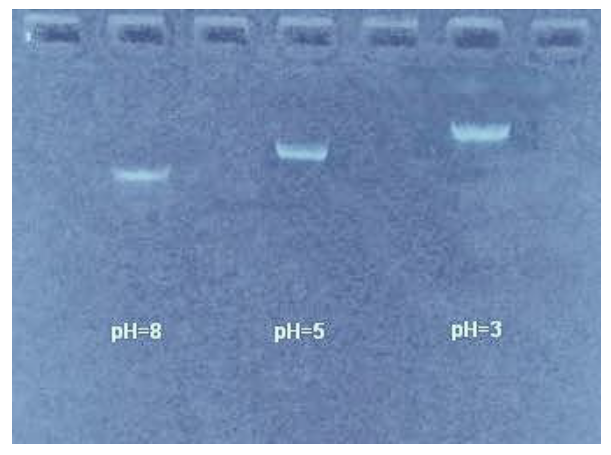 Polymers 11 00337 g009