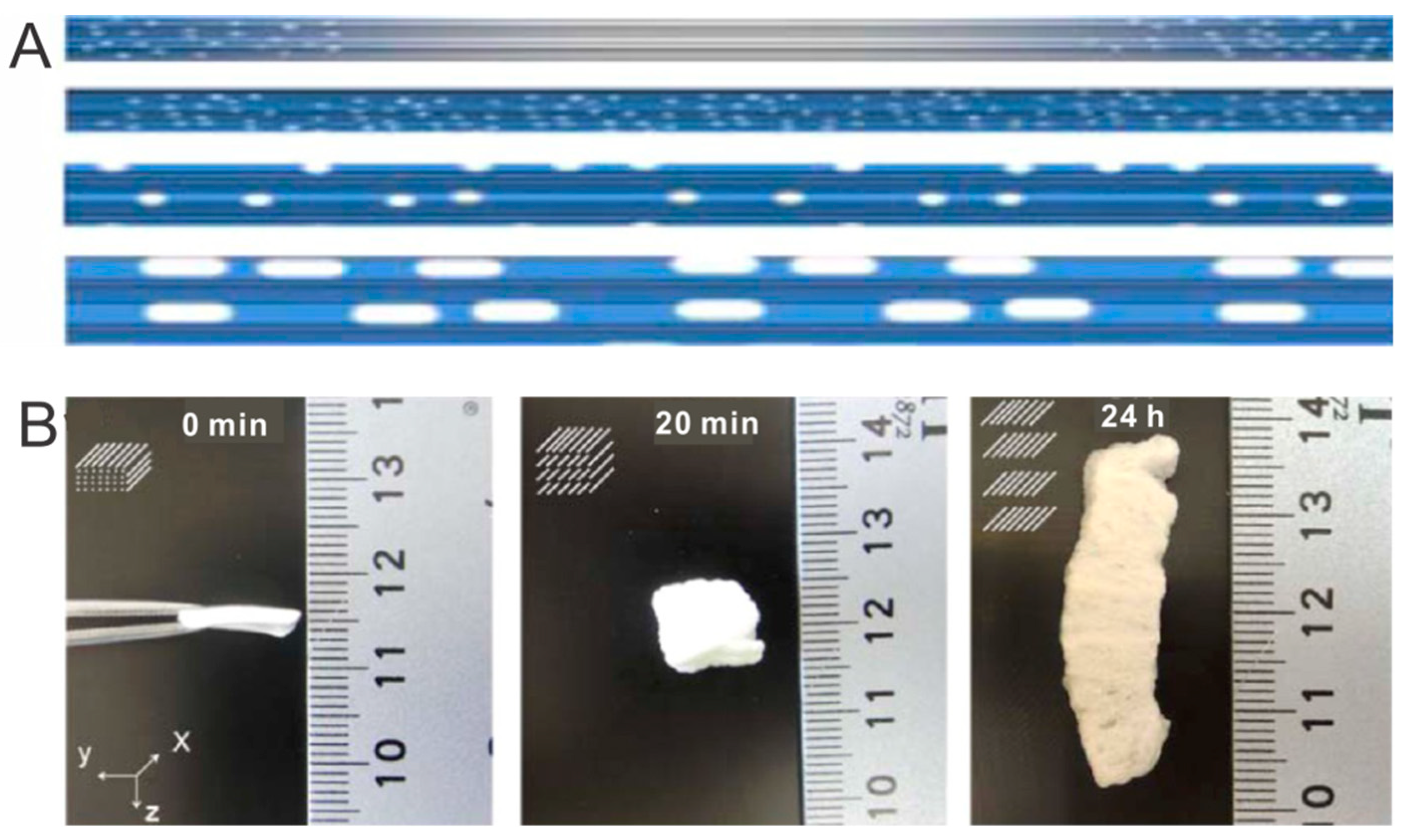 Polymers 11 00341 g001