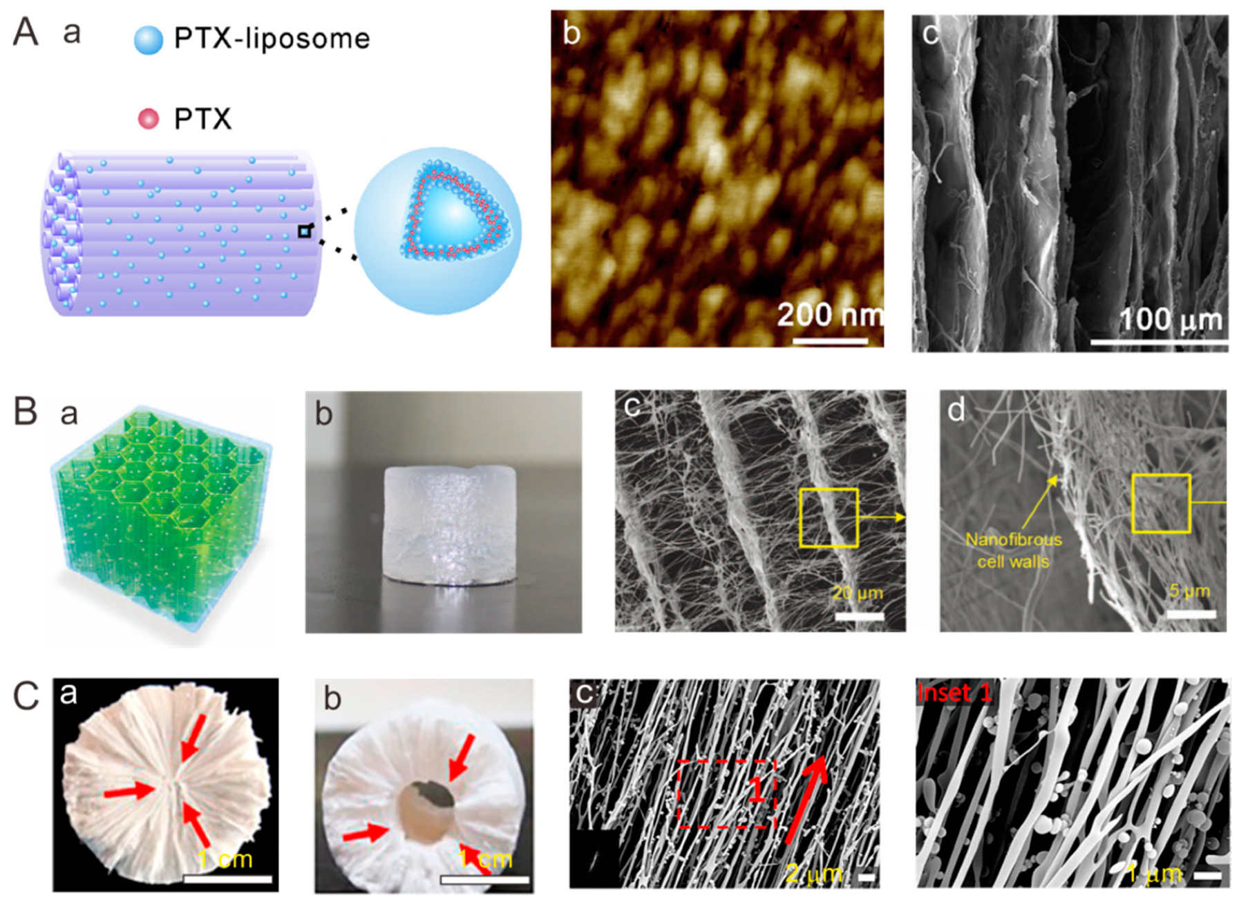 Polymers 11 00341 g002