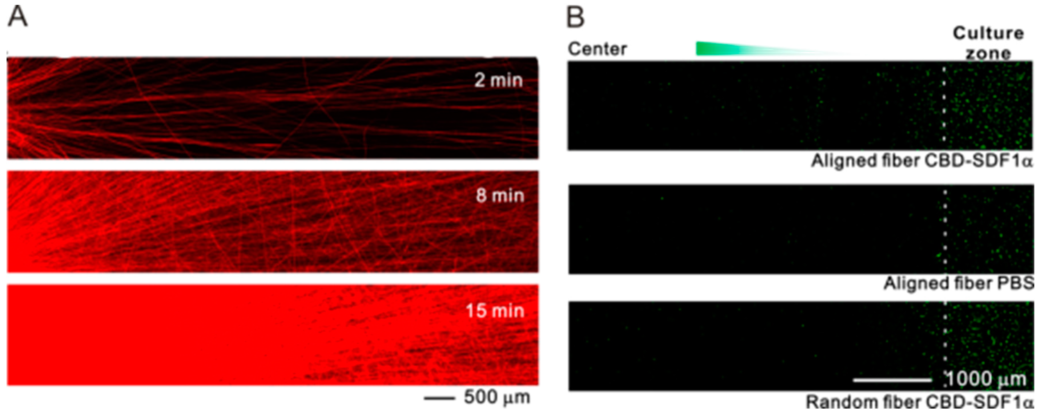 Polymers 11 00341 g004