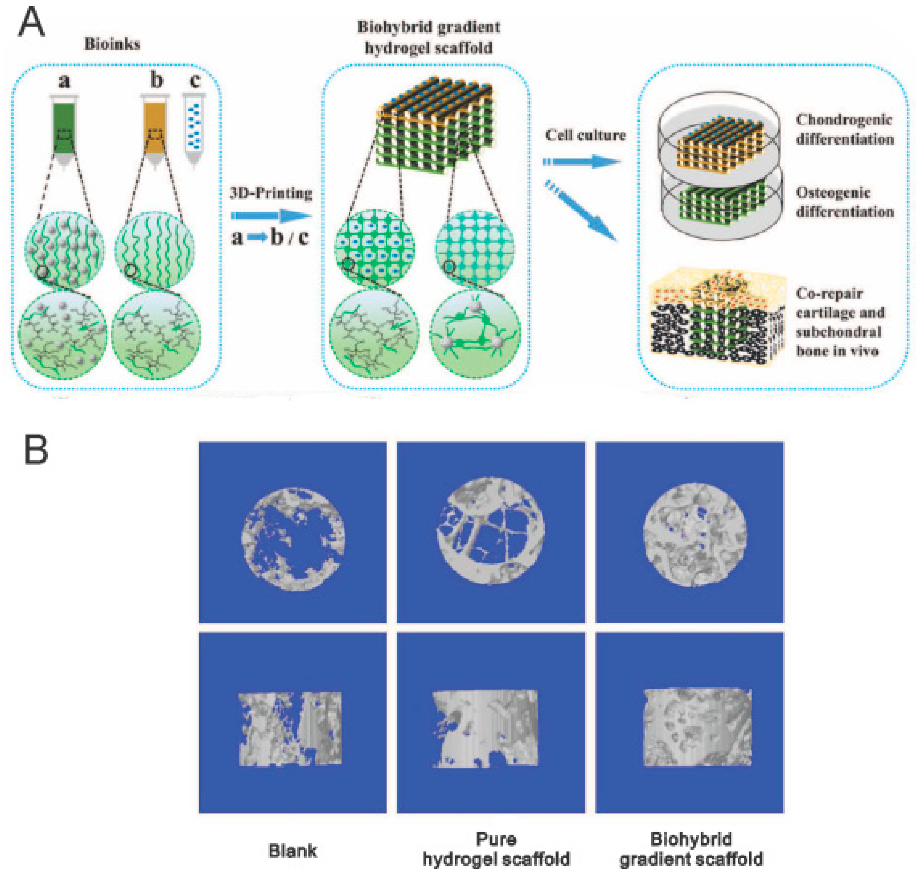 Polymers 11 00341 g005