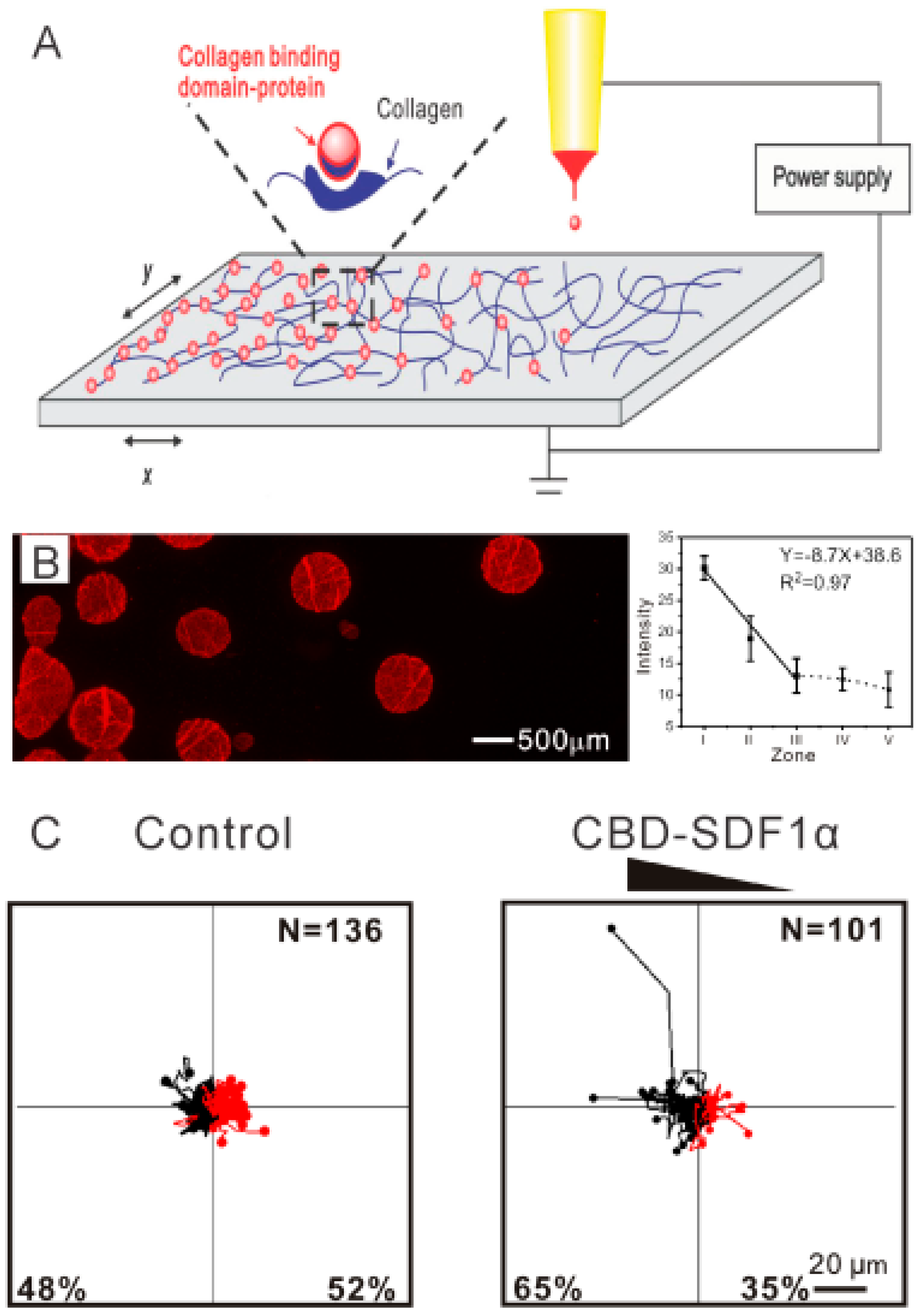 Polymers 11 00341 g006