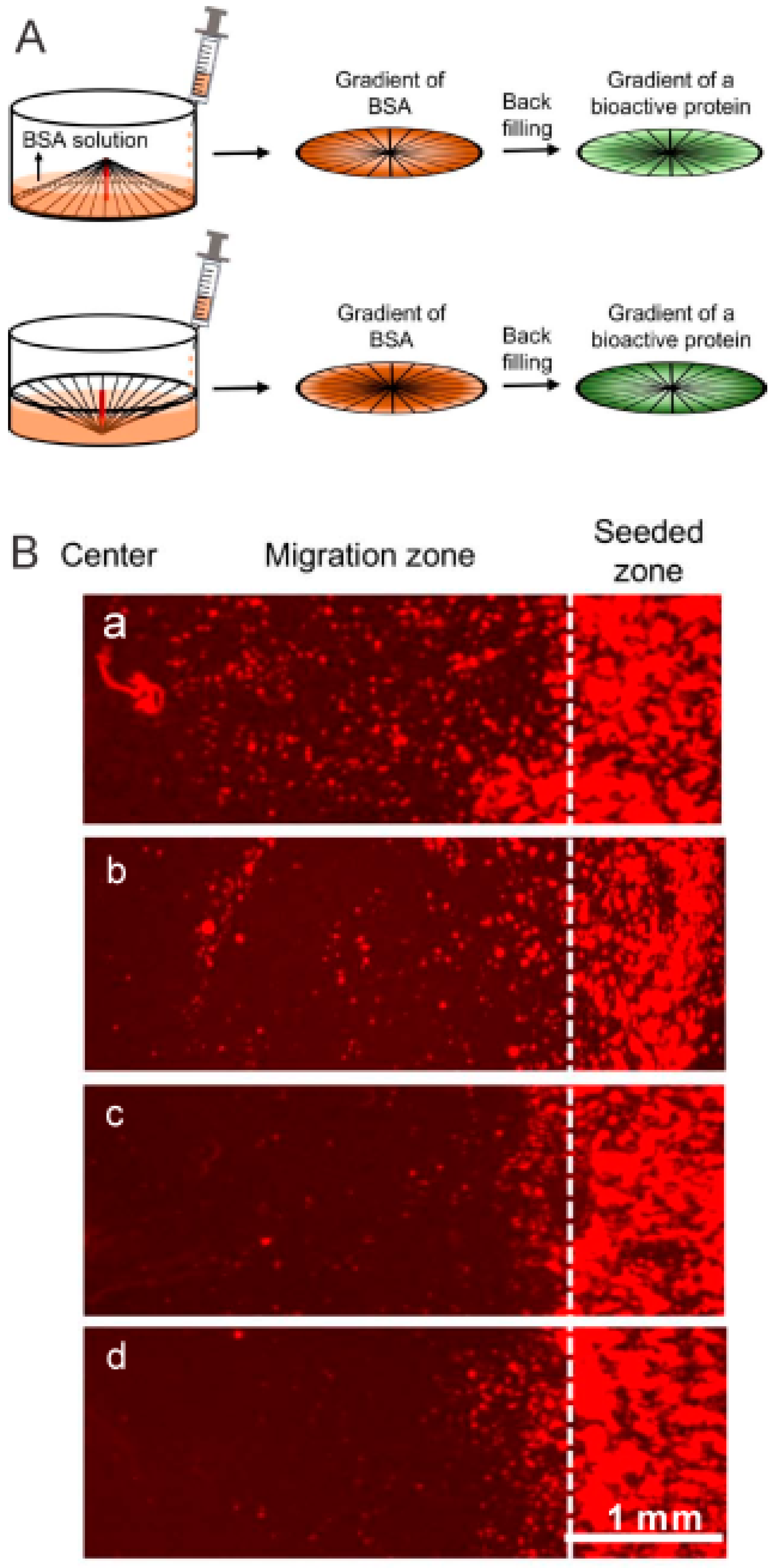 Polymers 11 00341 g007