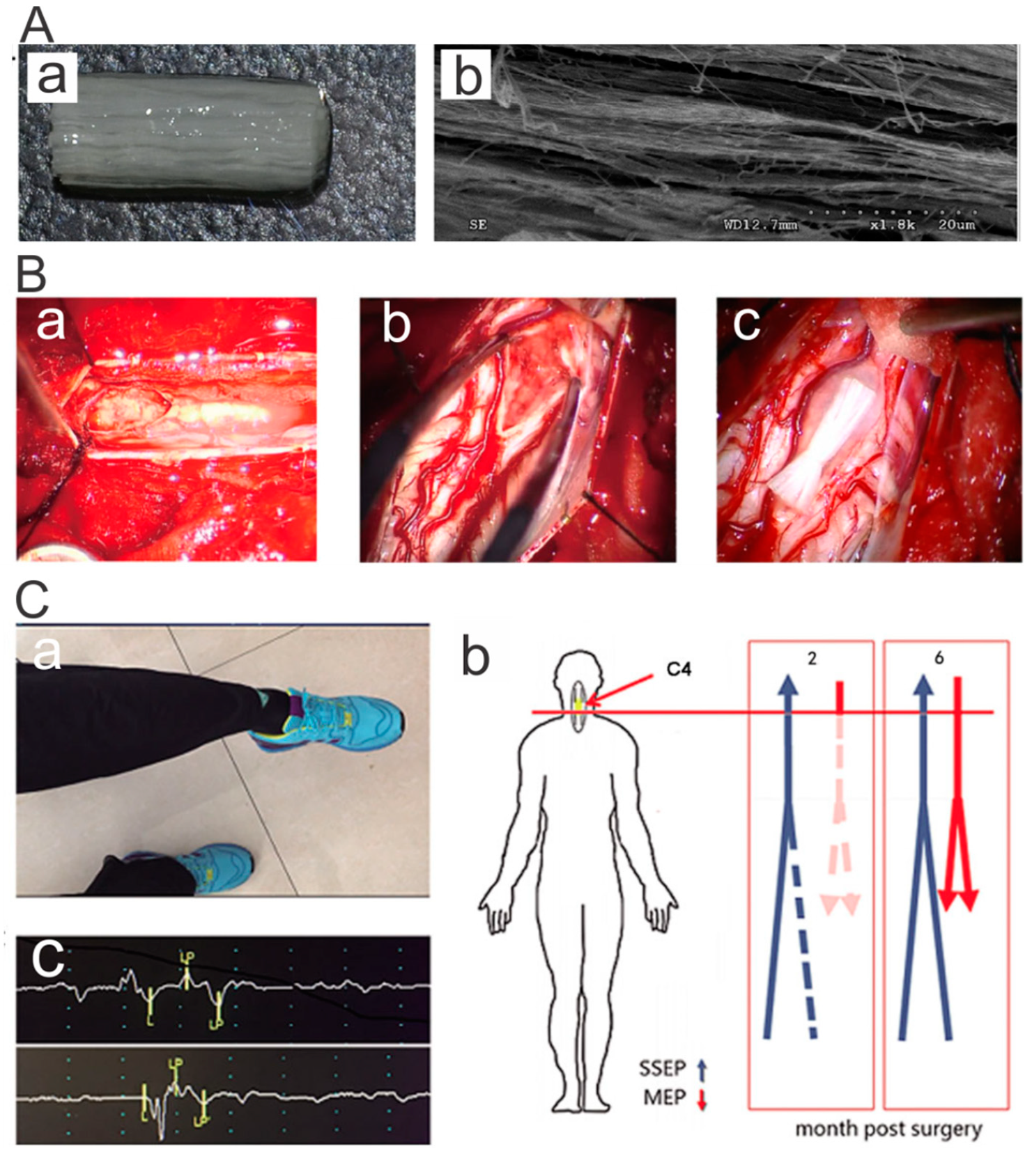 Polymers 11 00341 g008