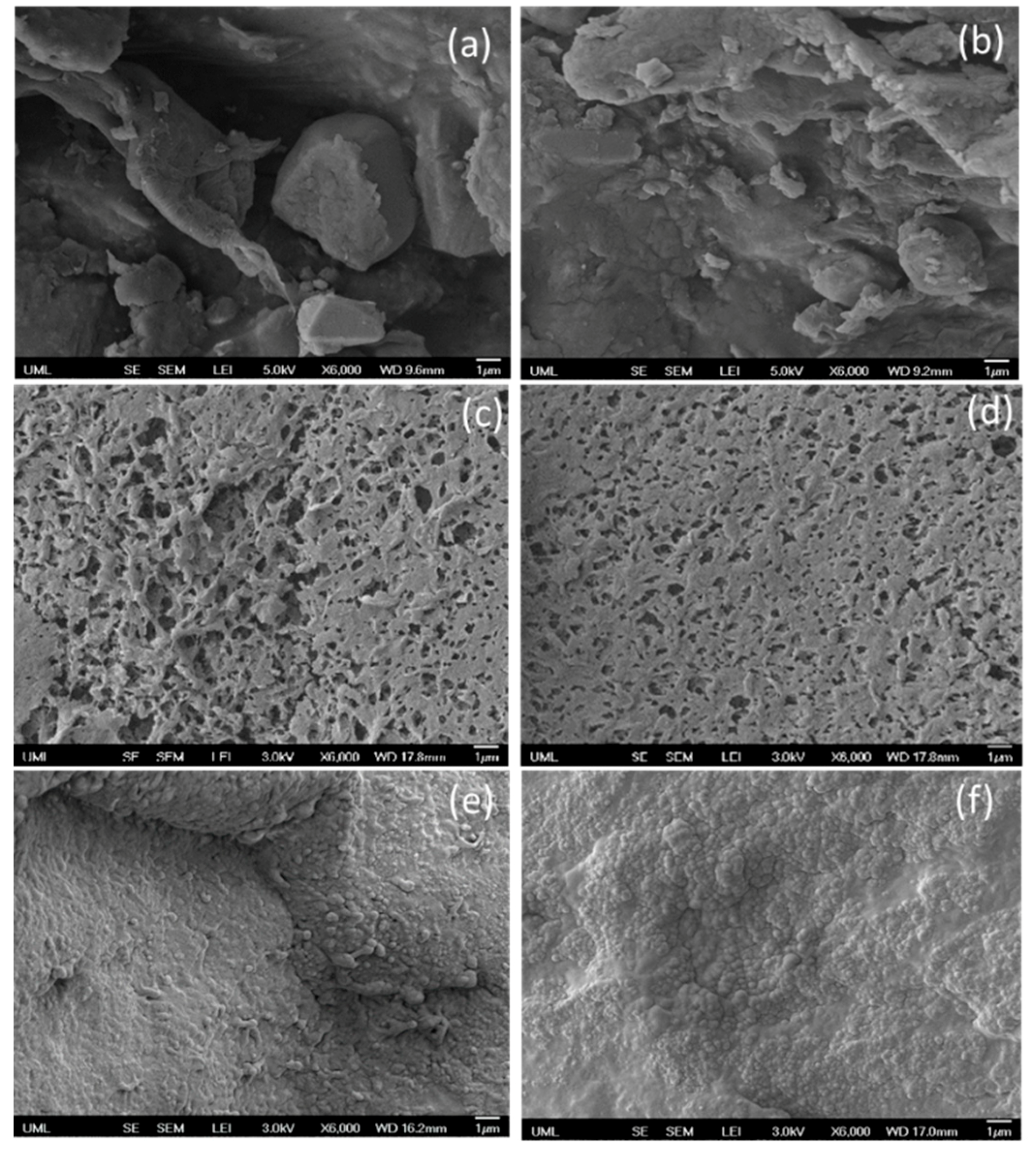 Polymers 11 00347 g006