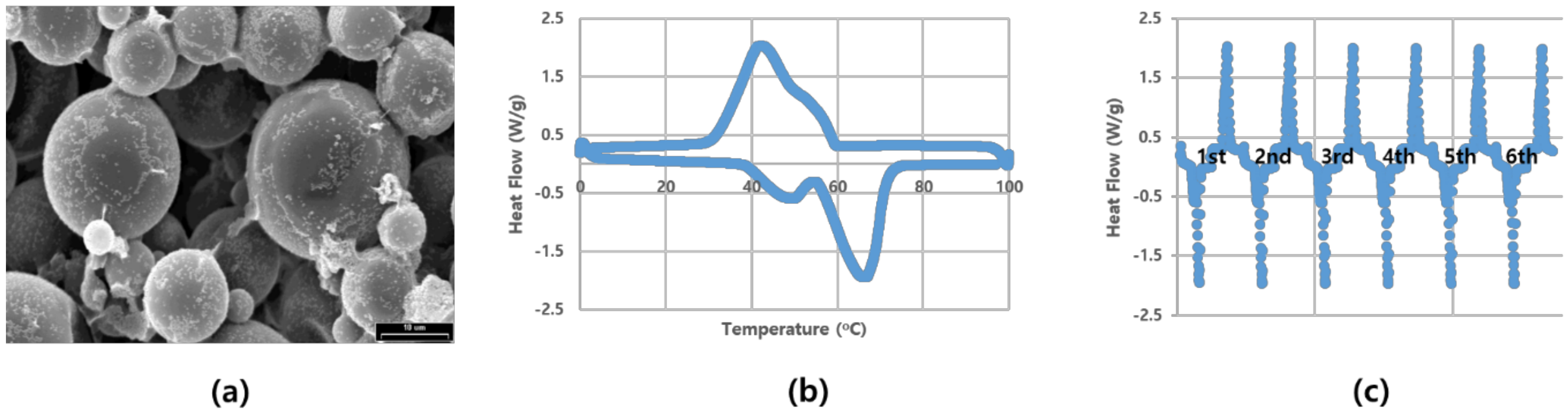 Polymers 11 00349 g001