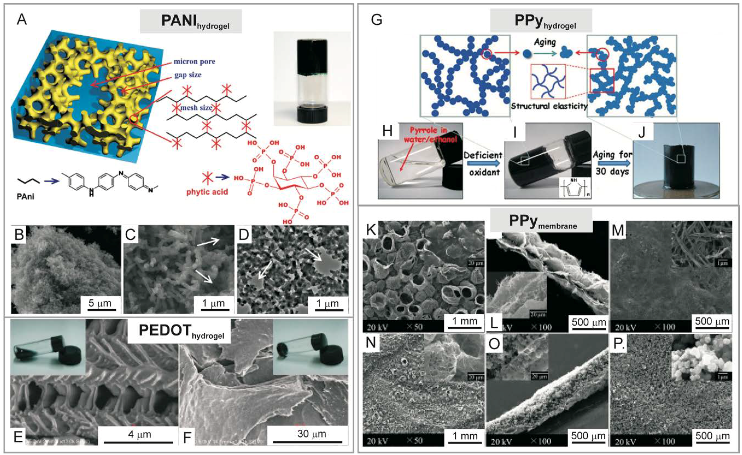 Polymers 11 00350 g001 Polymers 11 00350 g001