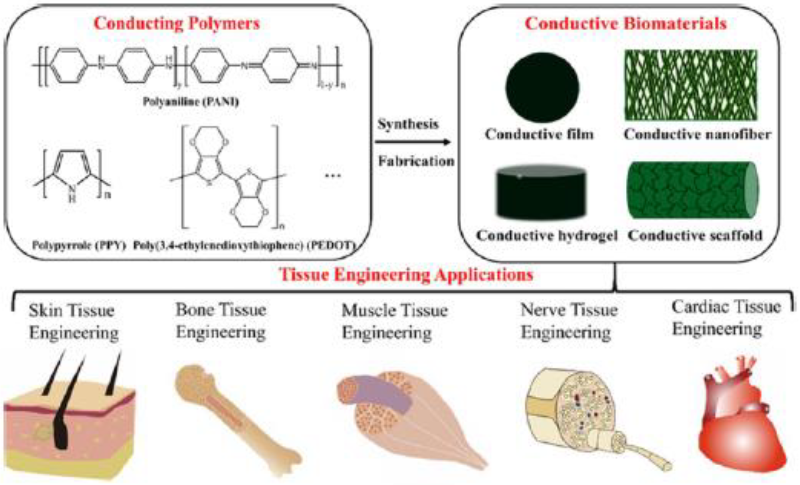 Polymers 11 00350 g007 Polymers 11 00350 g007